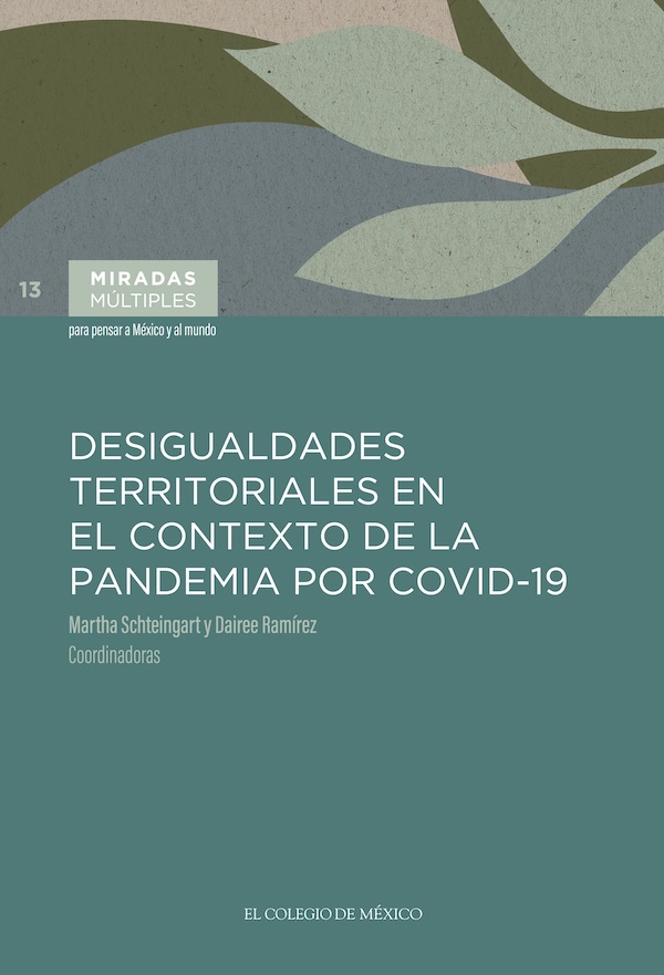 Portada de Desigualdades territoriales en el contexto de la pandemia por Covid-19
