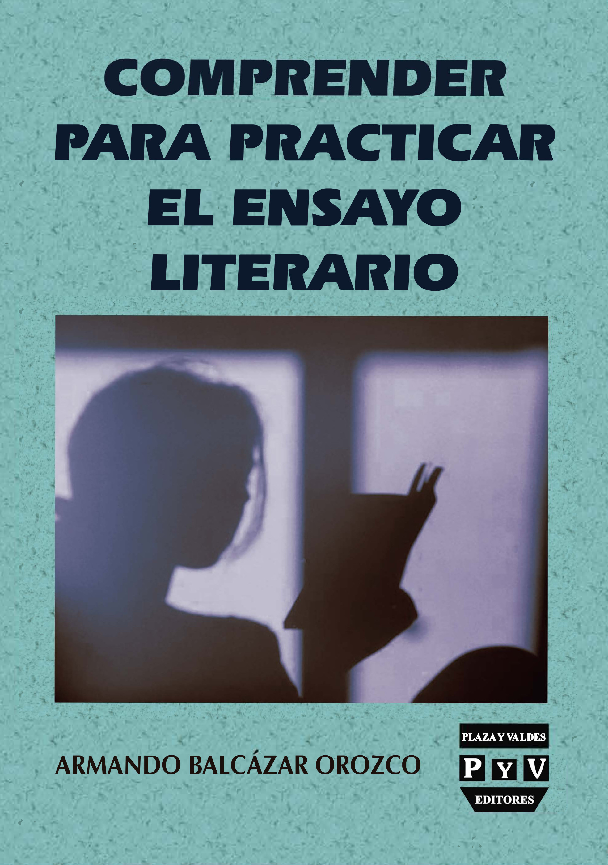 Portada de Comprender para practicar el ensayo literario