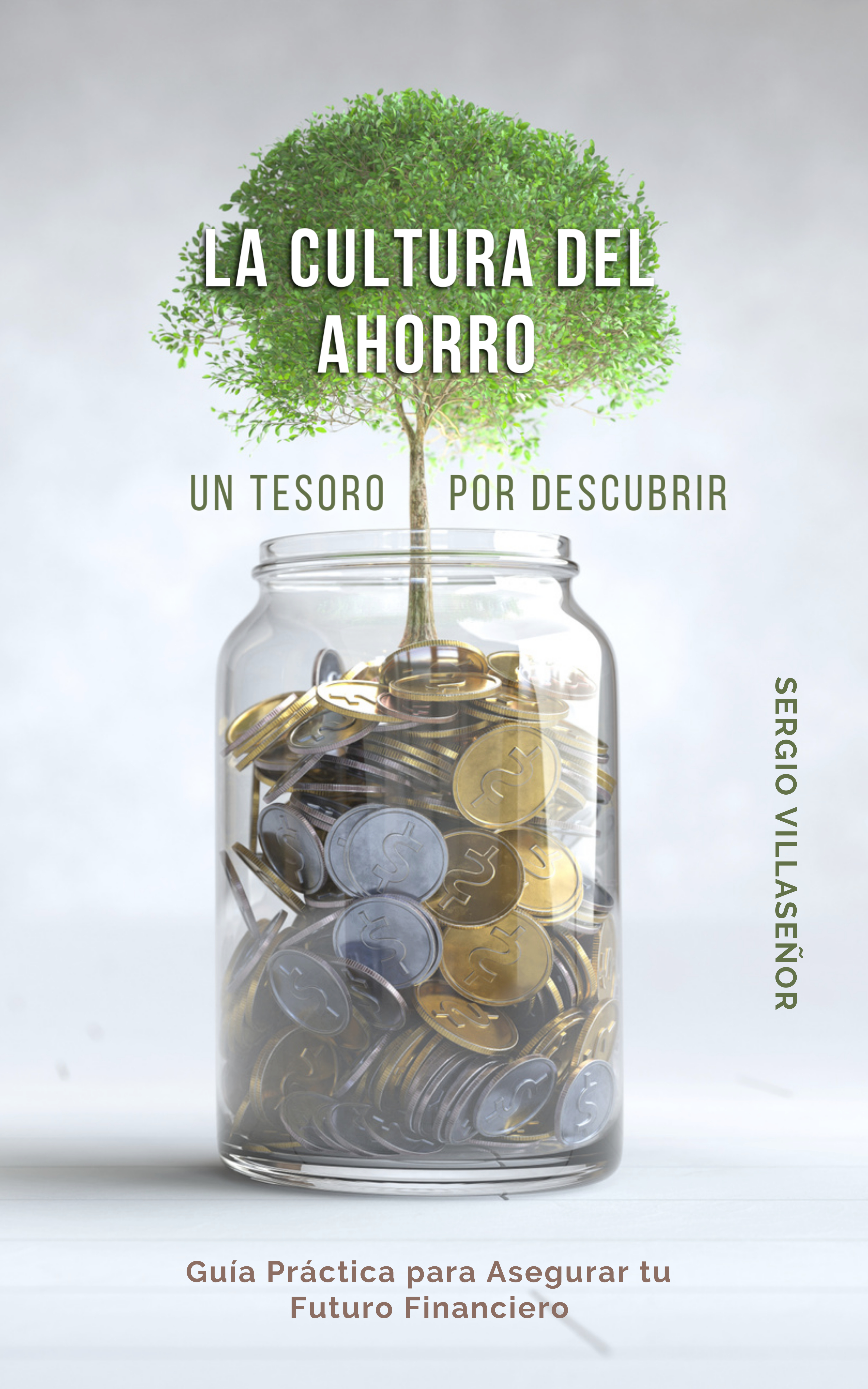 Portada de LA CULTURA DEL AHORRO - Un Tesoro por Descubrir