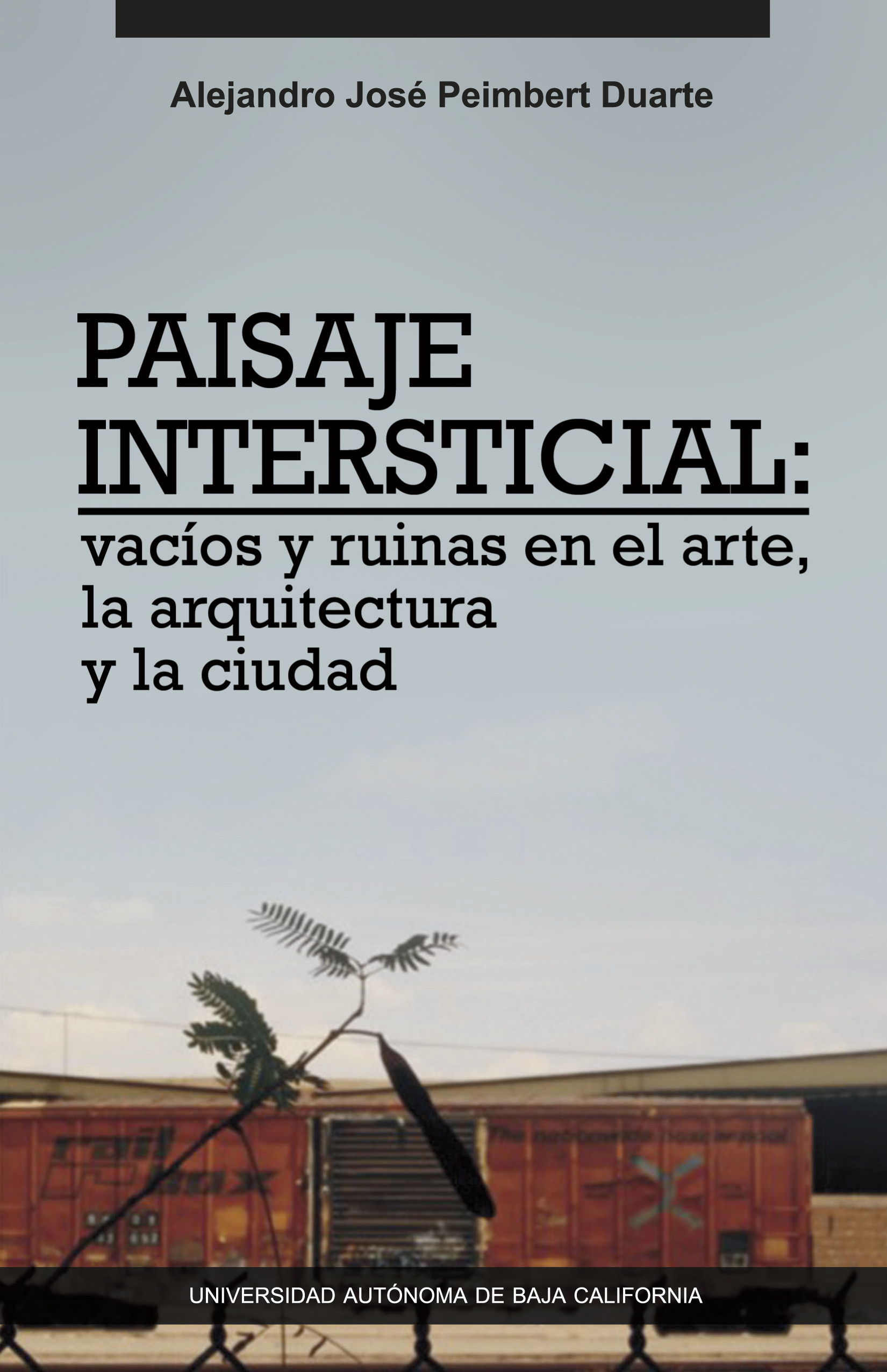Portada de Paisaje intersticial: vacíos y ruinas en el arte, la arquitectura y la ciudad