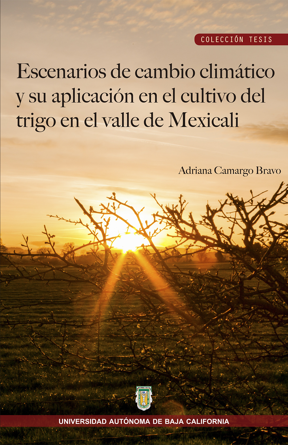 Portada de Escenarios de cambio climático y su aplicación en el cultivo del trigo en el valle de Mexicali