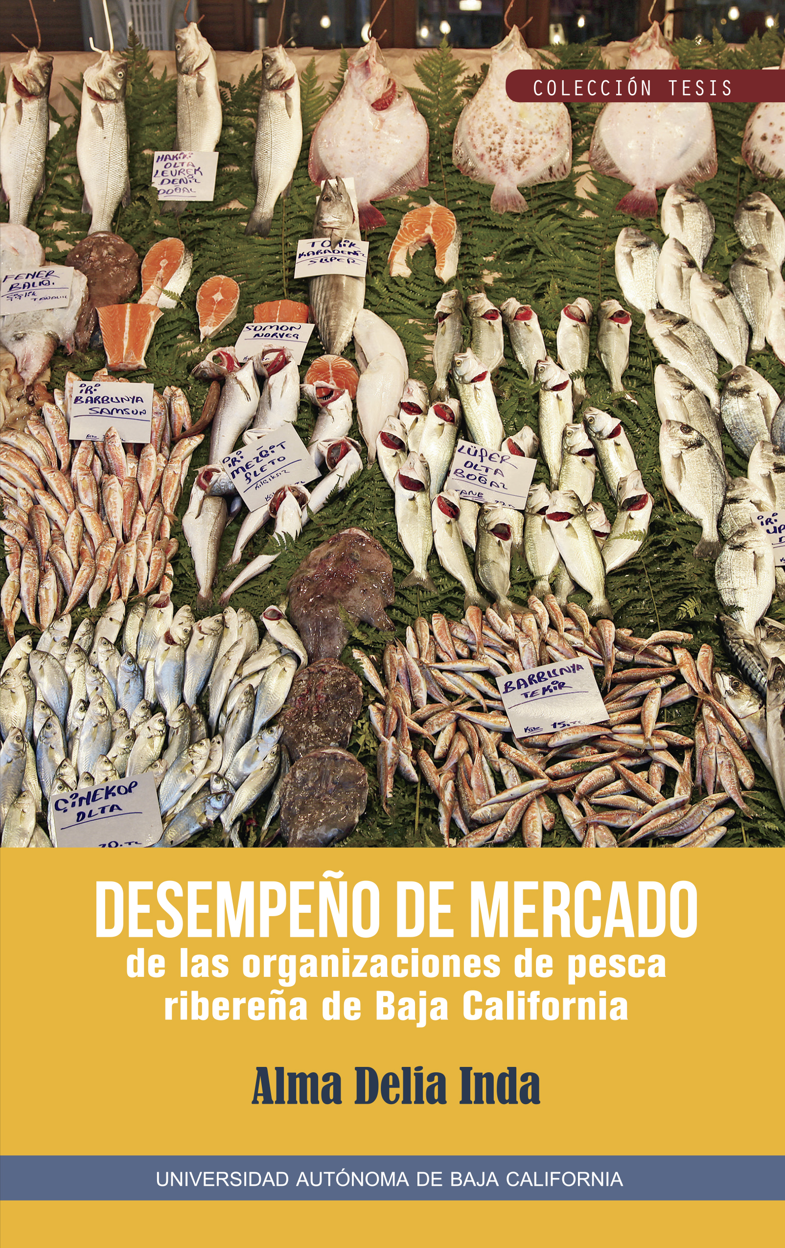 Portada de Desempeño de mercado de las organizaciones de pesca ribereña de Baja California · Alma Delia Inda
