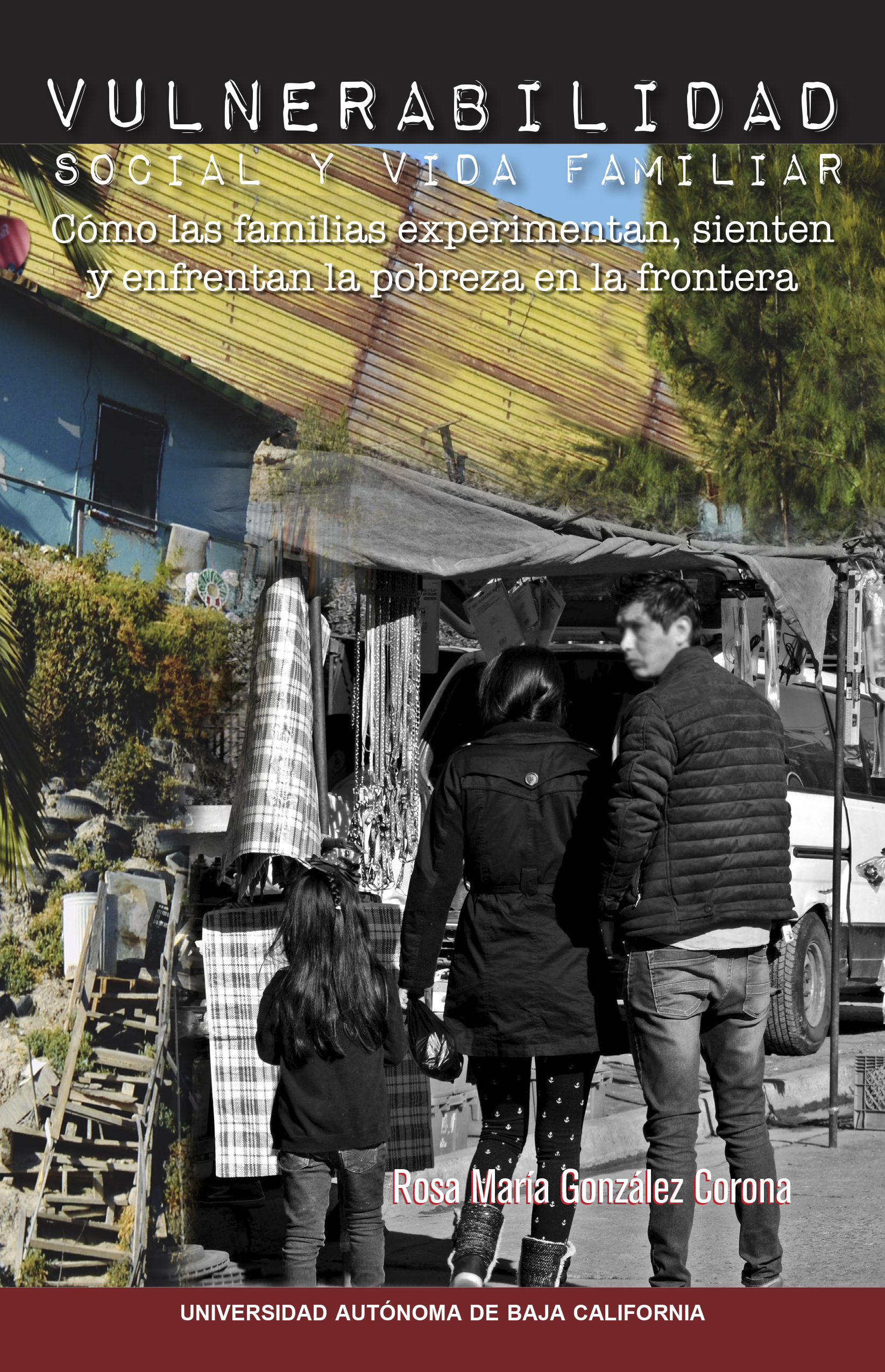 Portada de Vulnerabilidad social y vida familiar