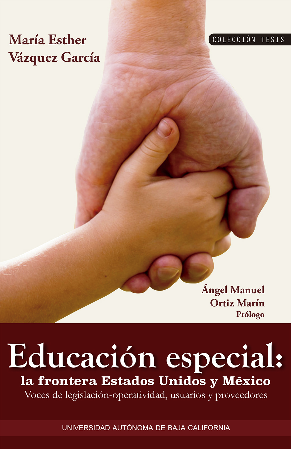 Portada de Educación especial, la frontera Estados Unidos y México: Voces de legislación-operatividad, usuarios y proveedores · Ángel Manuel.Vázquez García, María Esther Ortiz Marín