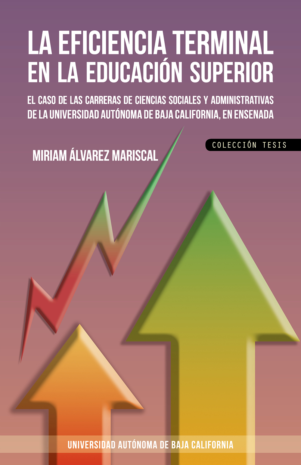 Portada de La eficiencia terminal en la educación superior · Miriam Álvarez Mariscal