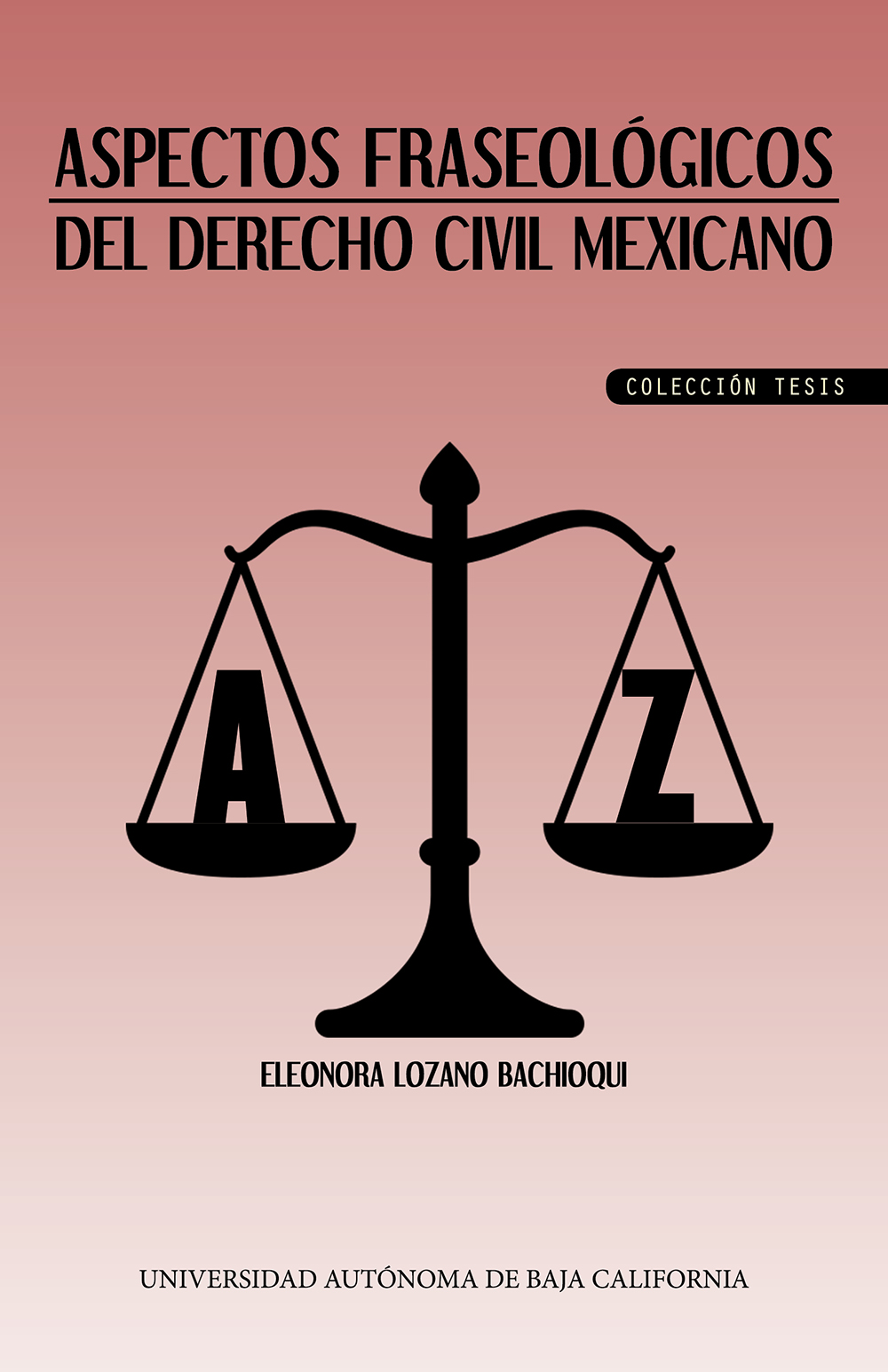 Portada de Aspectos fraseológicos del derecho civil mexicano