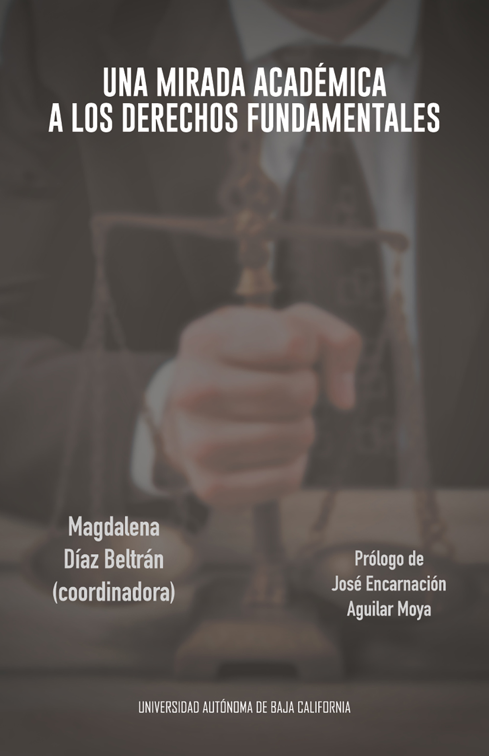 Portada de Una mirada académica a los derechos fundamentales