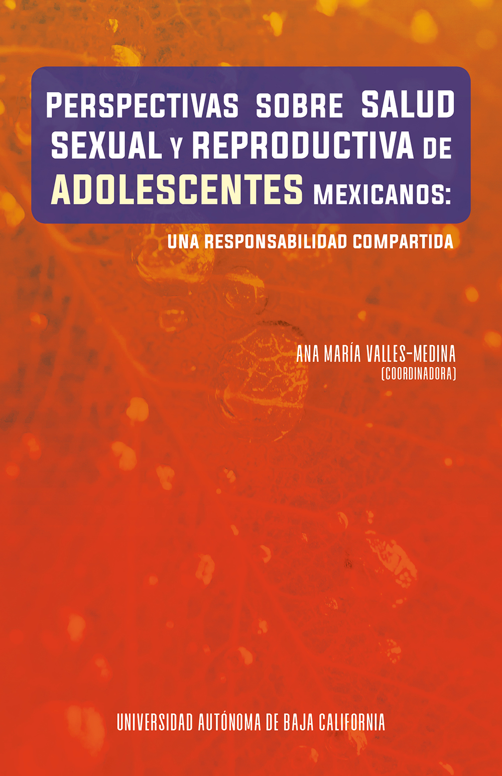 Portada de Perspectivas sobre salud sexual y reproductiva de adolescentes mexicanos: una responsabilidad compartida