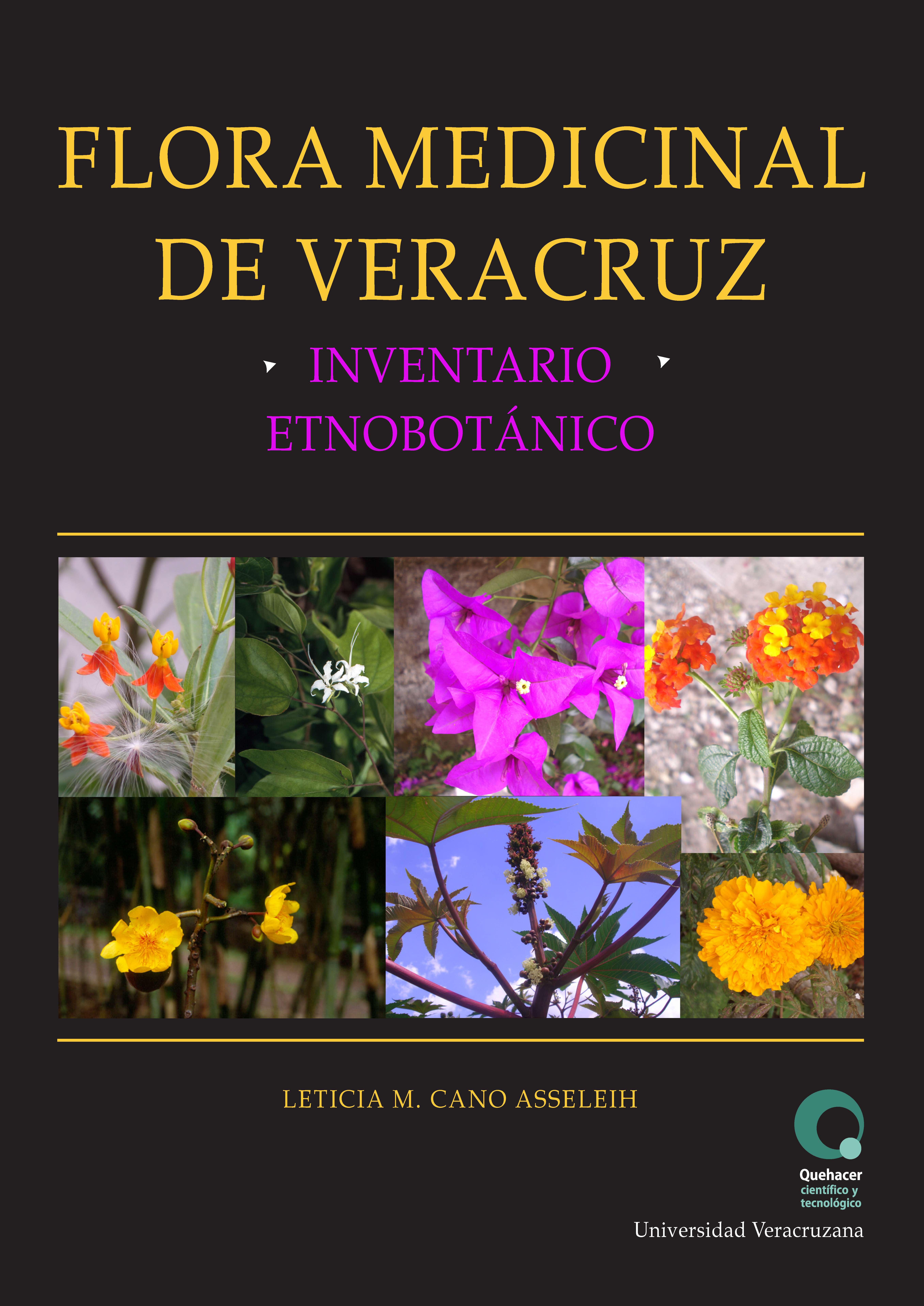 Portada de Flora medicinal de Veracruz : inventario etnobotánico