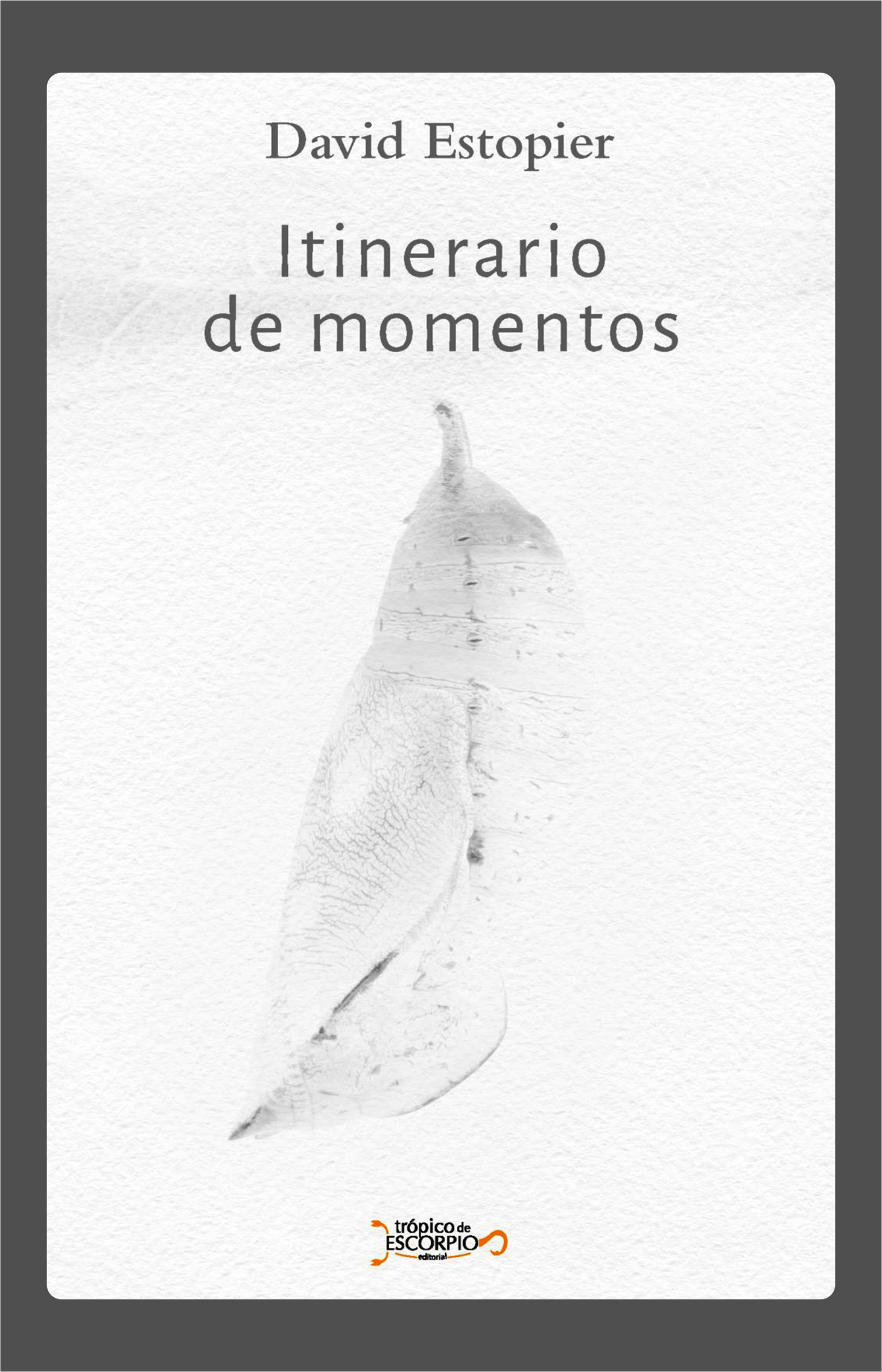 Portada de Itinerario de momentos · David Estopier