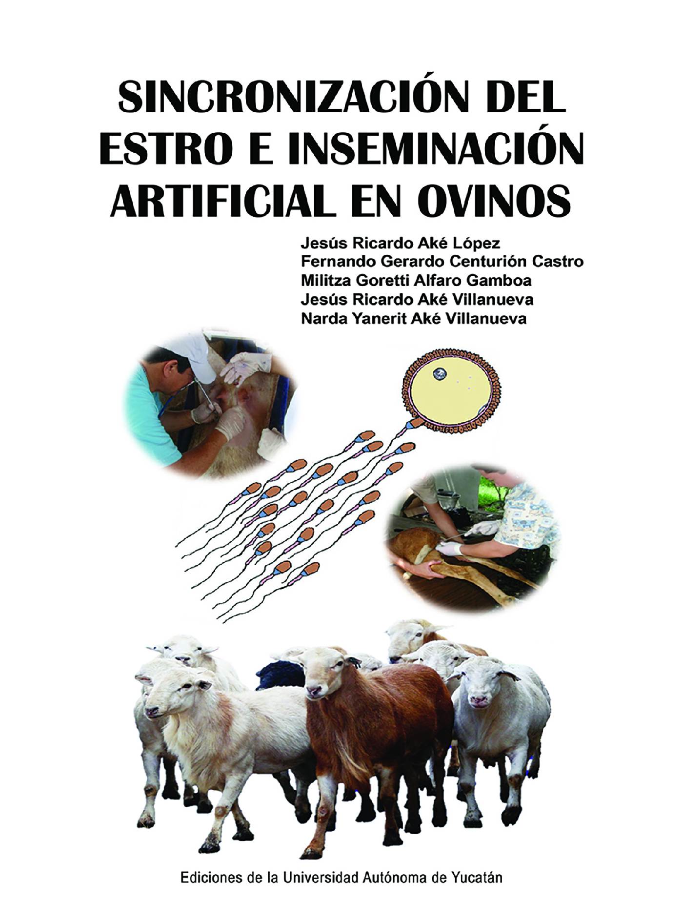 Portada de Sincronización del estro e inseminación artificial en ovinos
