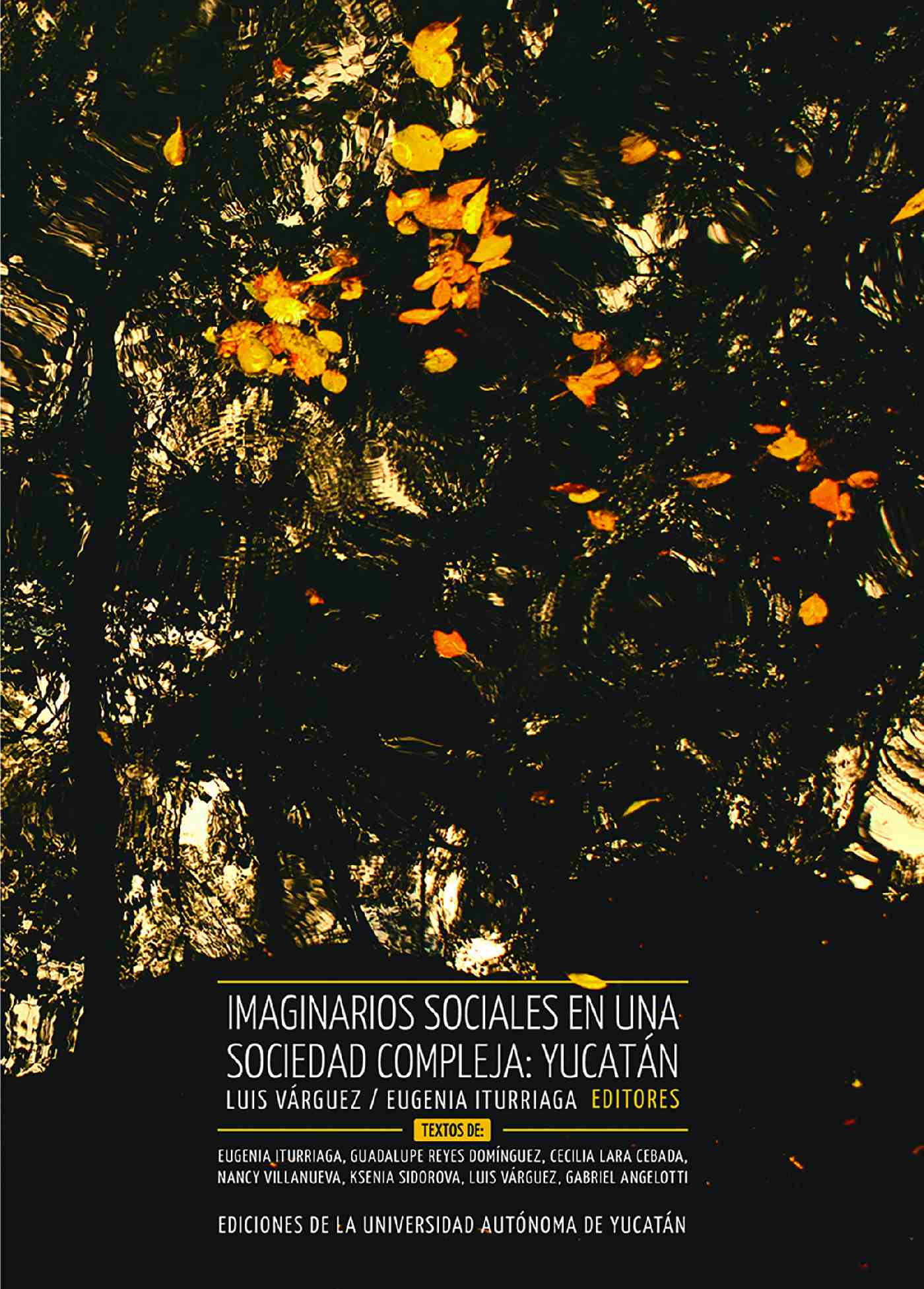 Portada de Imaginarios sociales en una sociedad compleja: Yucatán