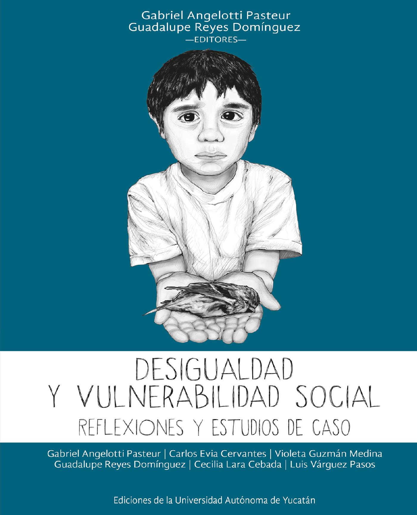 Portada de Desigualdad y vulnerabilidad social
