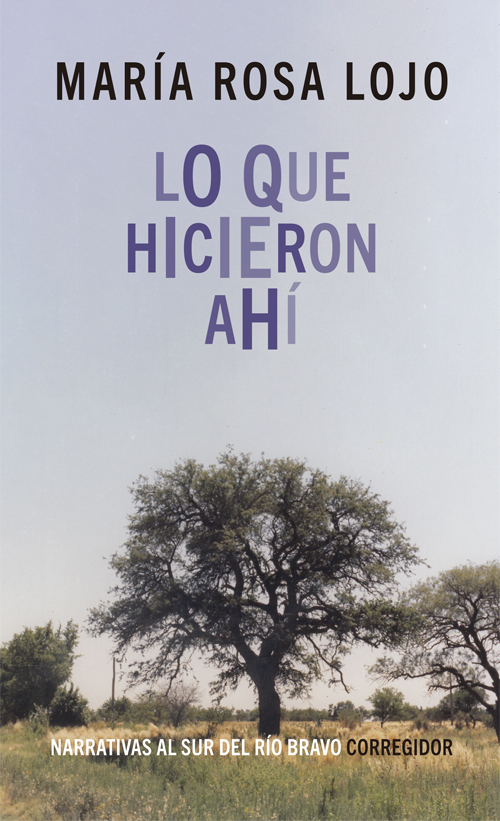 Portada de Lo que hicieron ahí · María Rosa Lojo