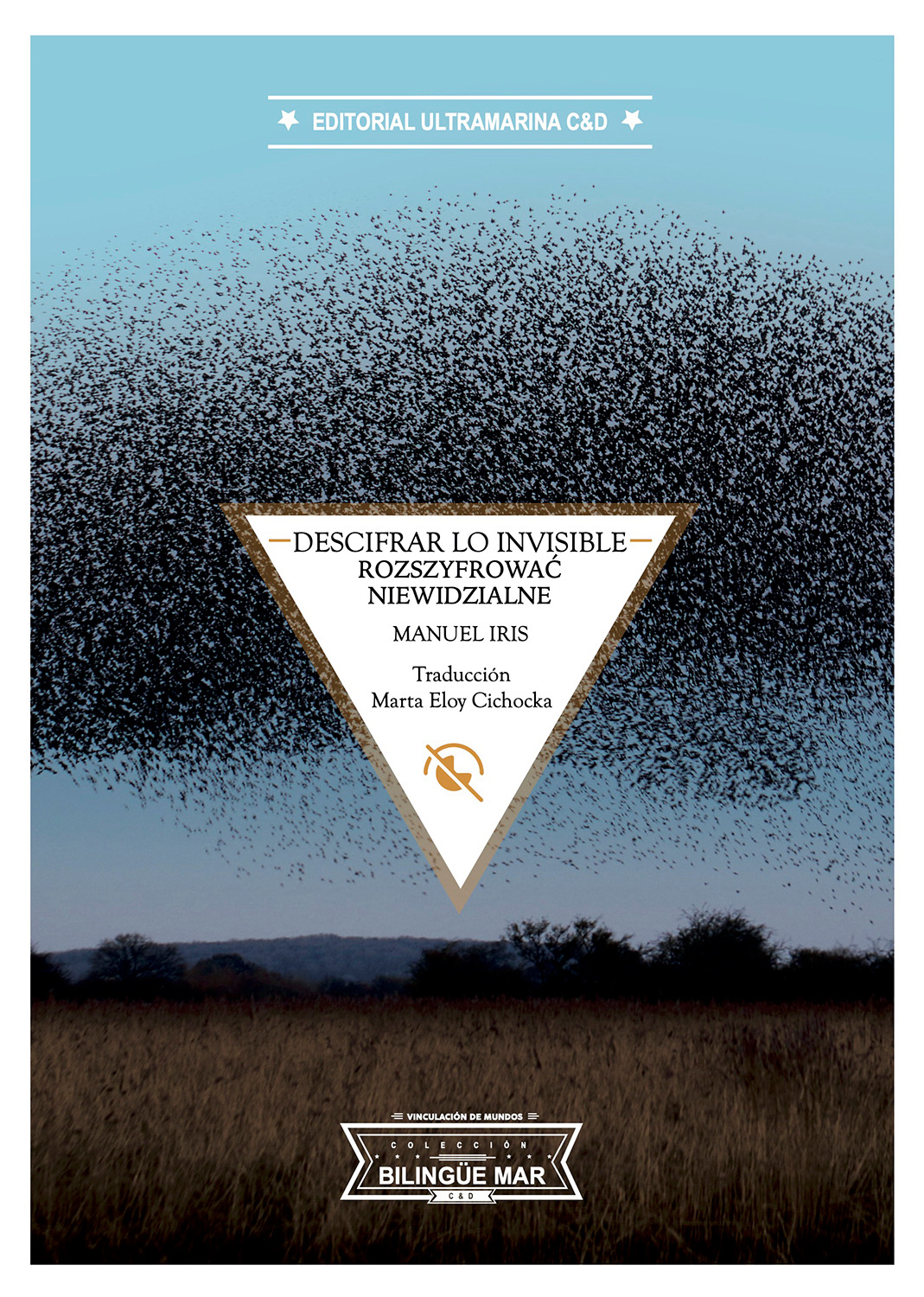 Portada de Descifrar lo invisible