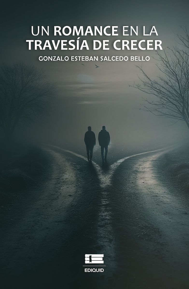 Portada de Un romance en la travesía de crecer
