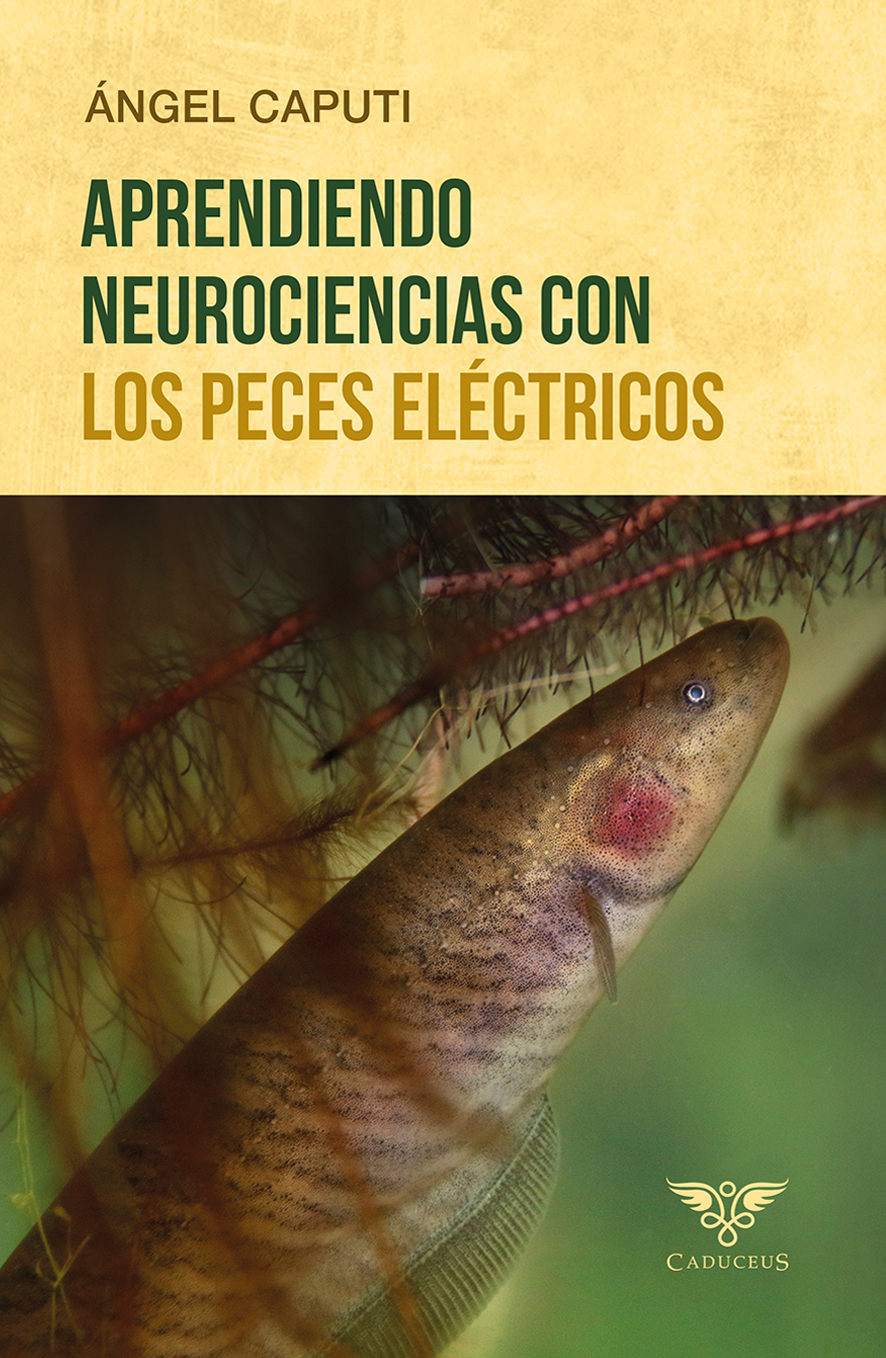 Portada de Aprendiendo neurociencias con los peces eléctricos