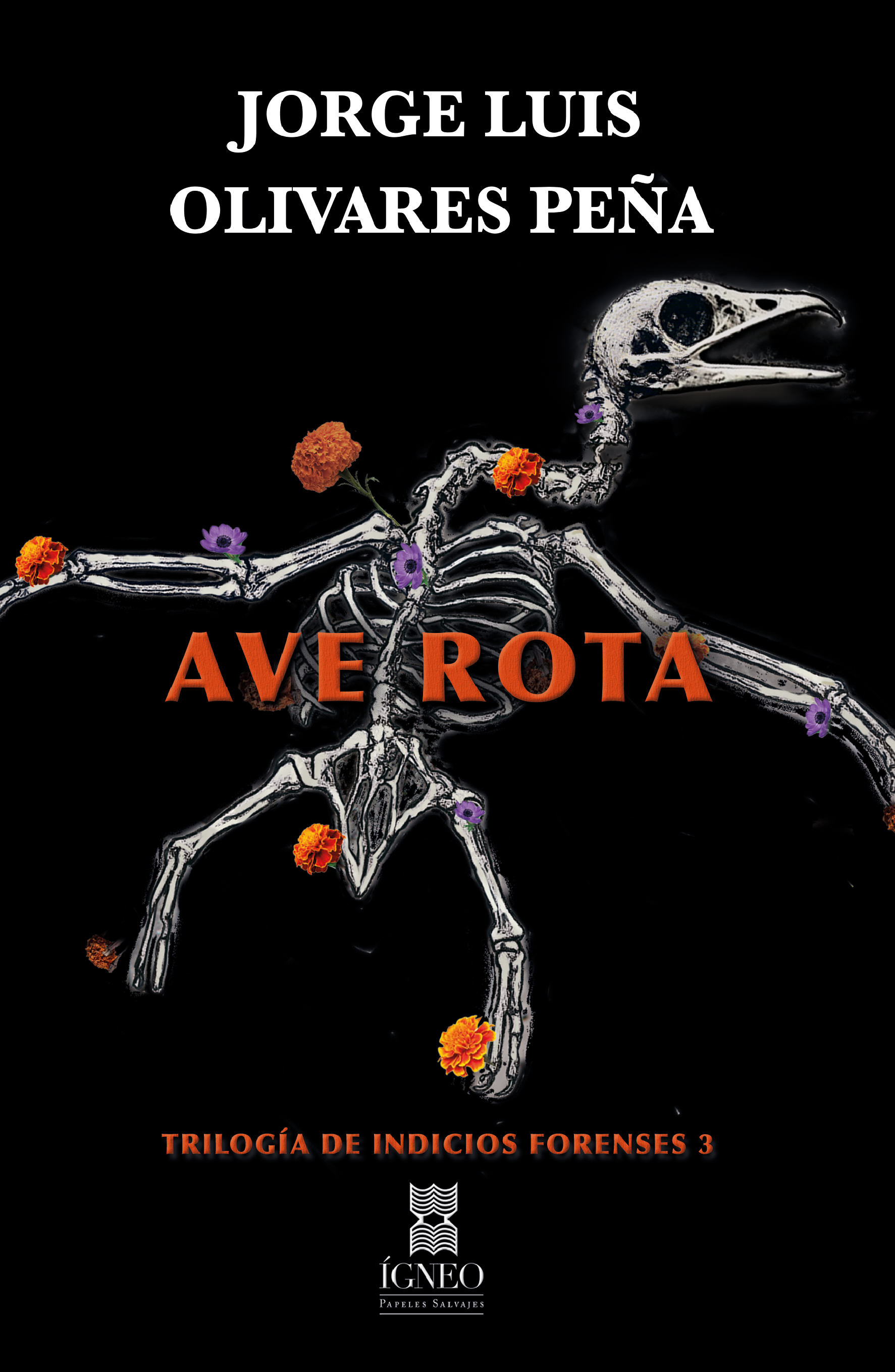 Portada de Ave rota