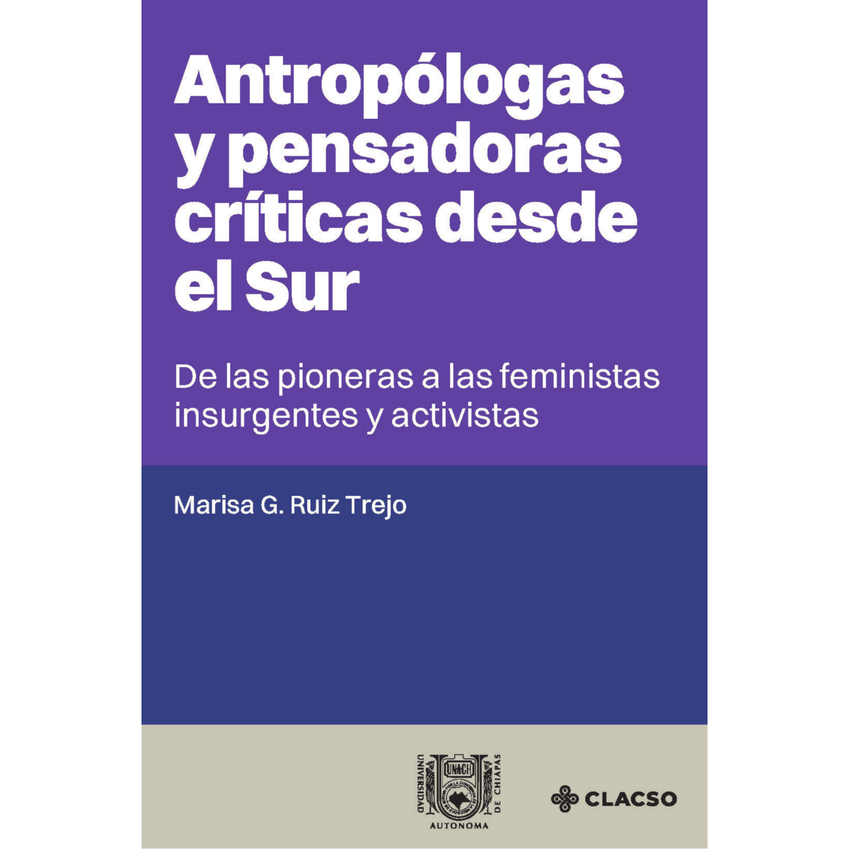 Portada de Antropólogas y pensadoras críticas desde el Sur