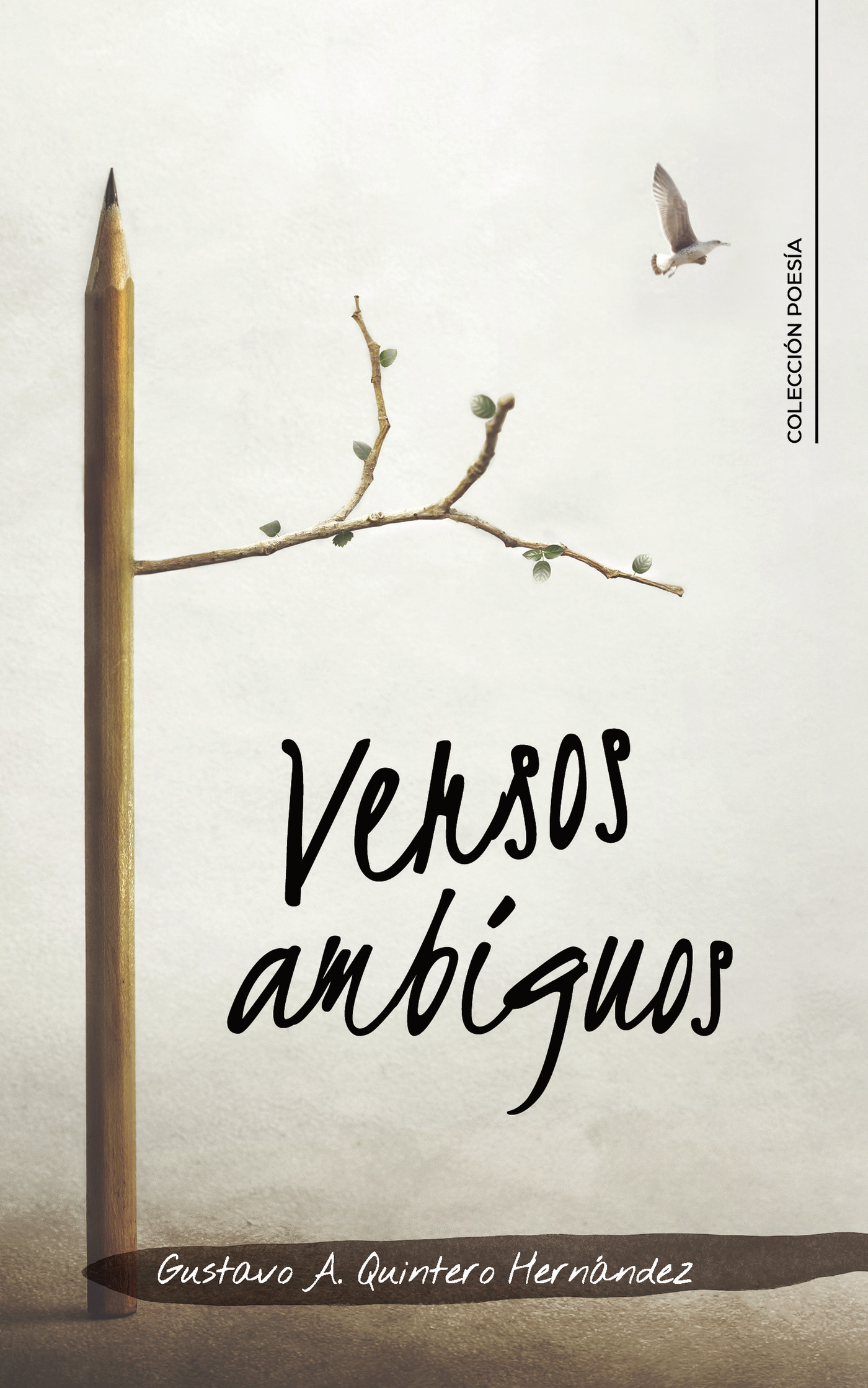 Portada de Versos ambiguos