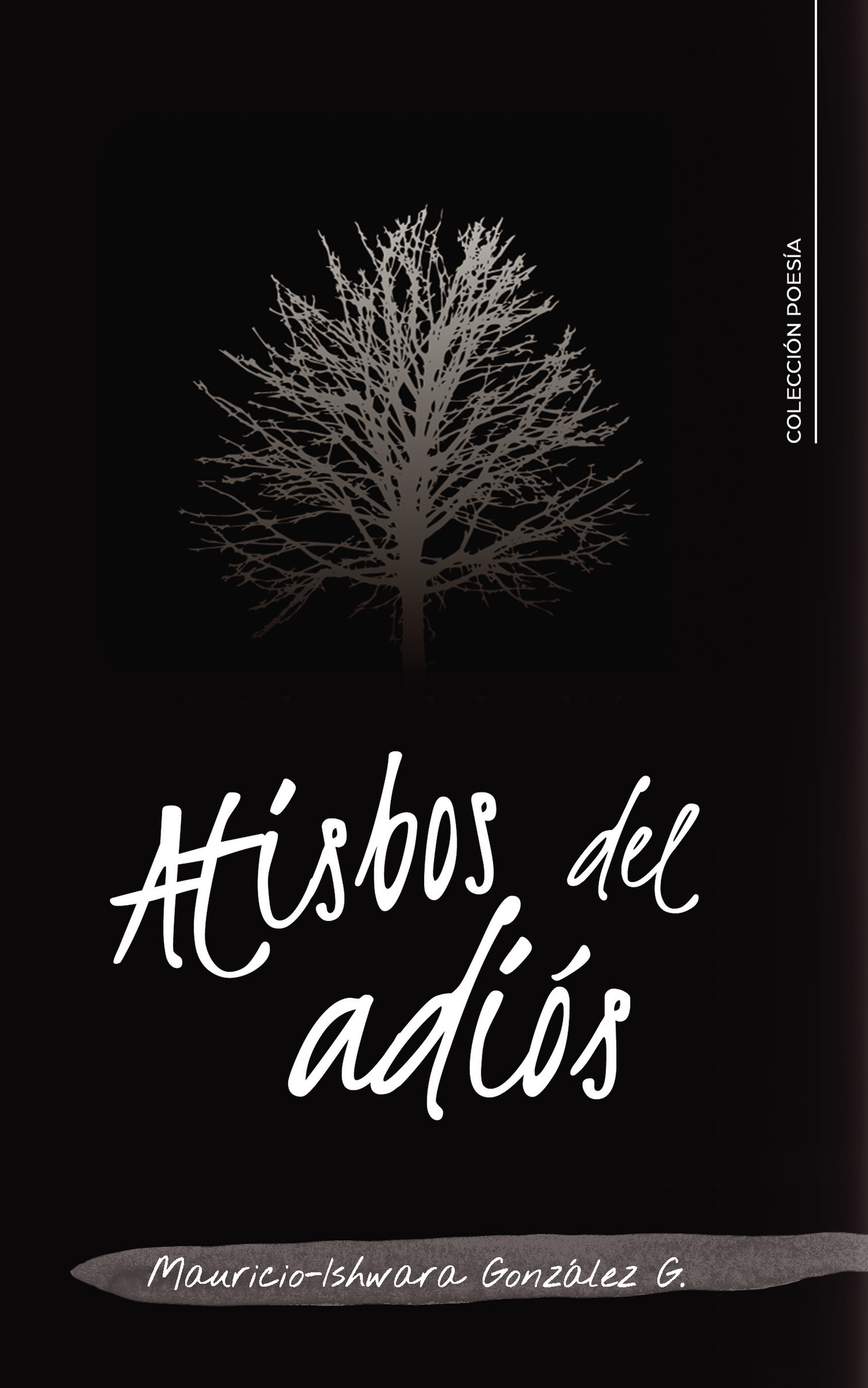 Portada de Atisbos del adiós