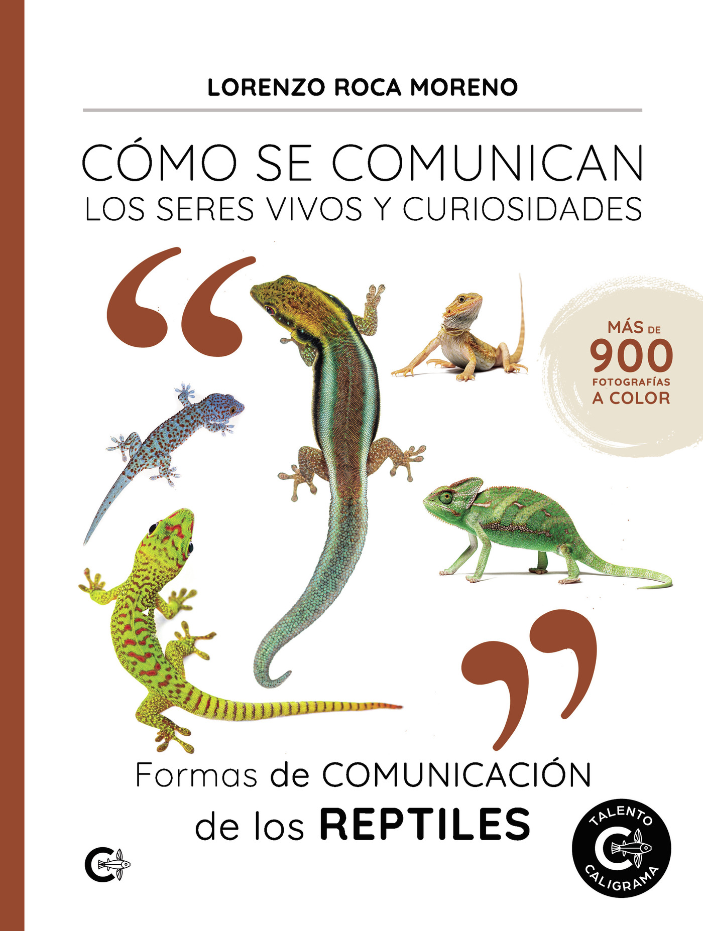 Portada de Formas de comunicación de los reptiles