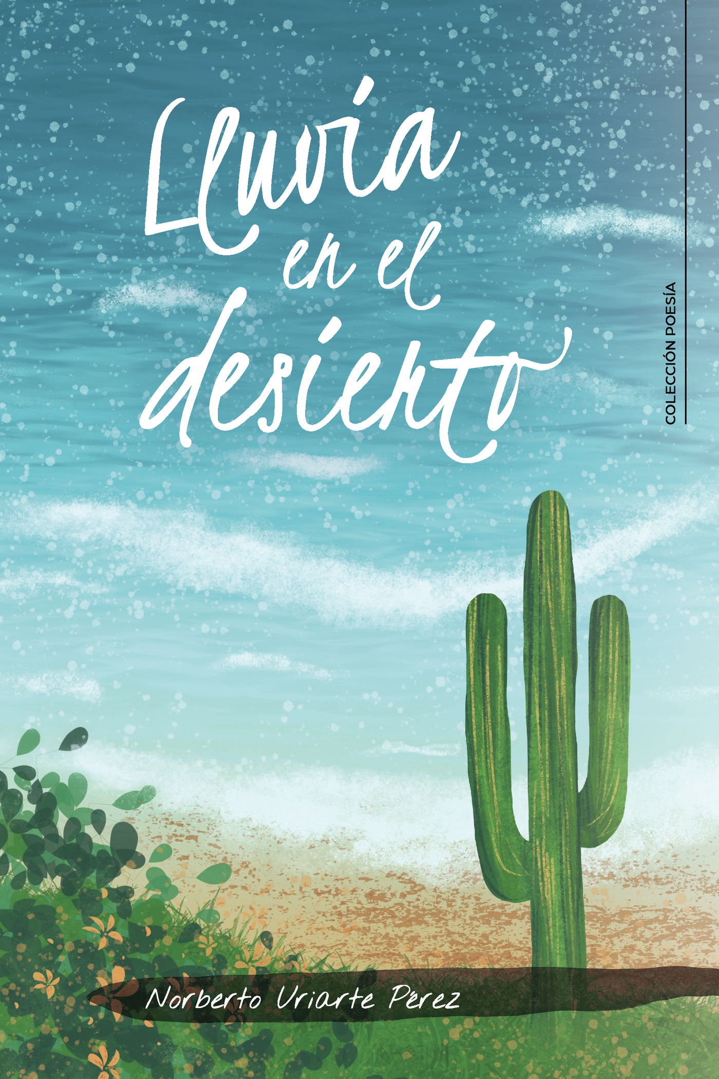 Portada de Lluvia en el desierto