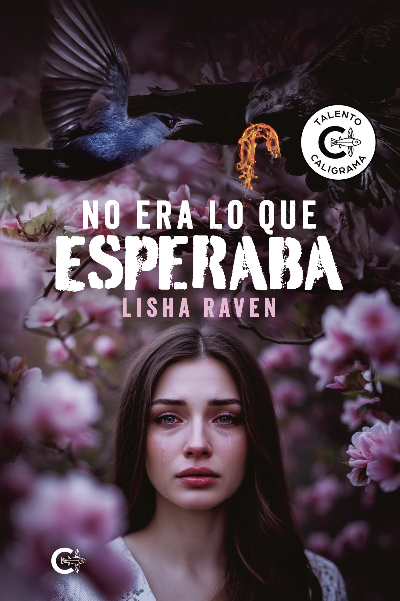 Portada de No era lo que esperaba · Lisha Raven