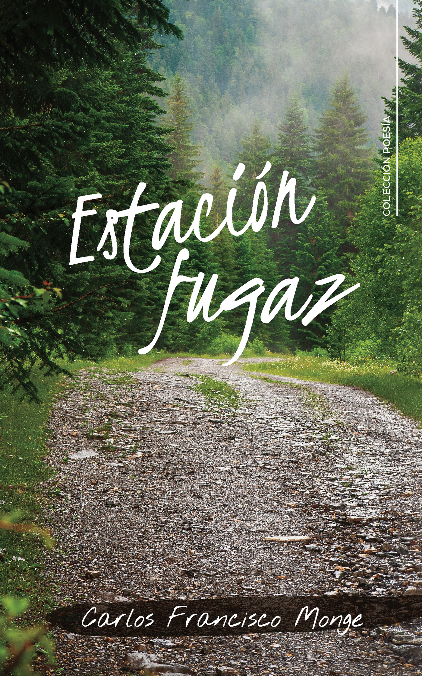 Portada de Estación fugaz