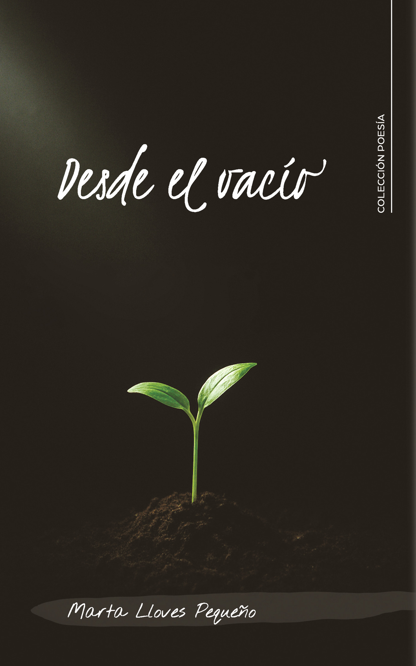Portada de Desde el vacío · Marta Lloves Pequeño
