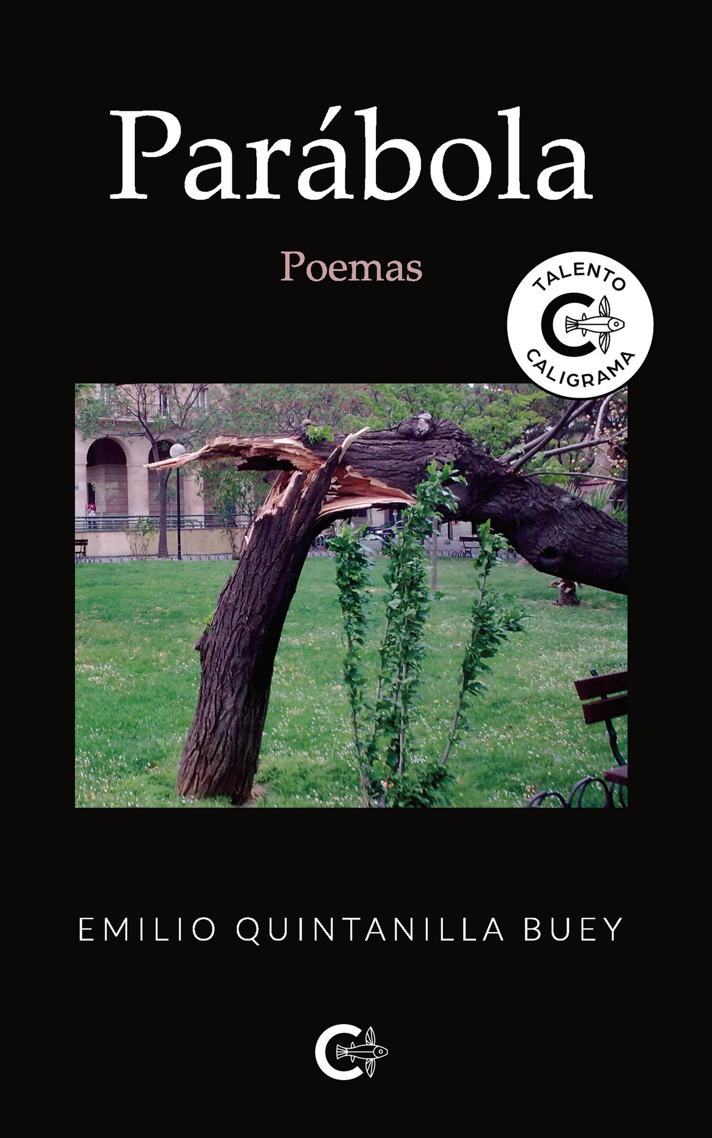 Portada de Parábola