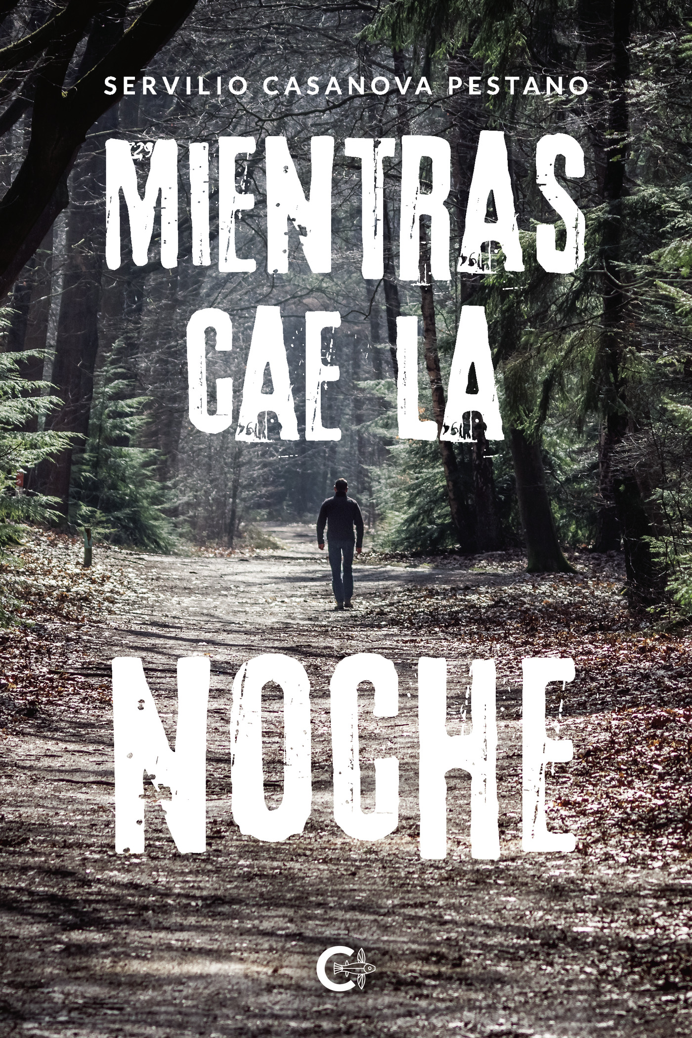 Portada de Mientras cae la noche