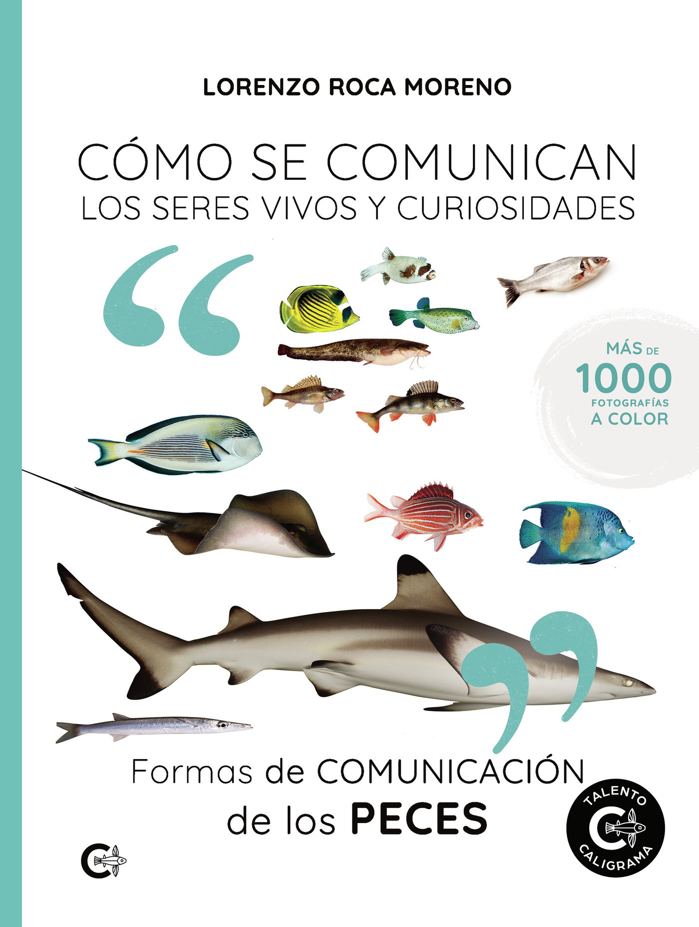 Portada de Formas de comunicación de los peces