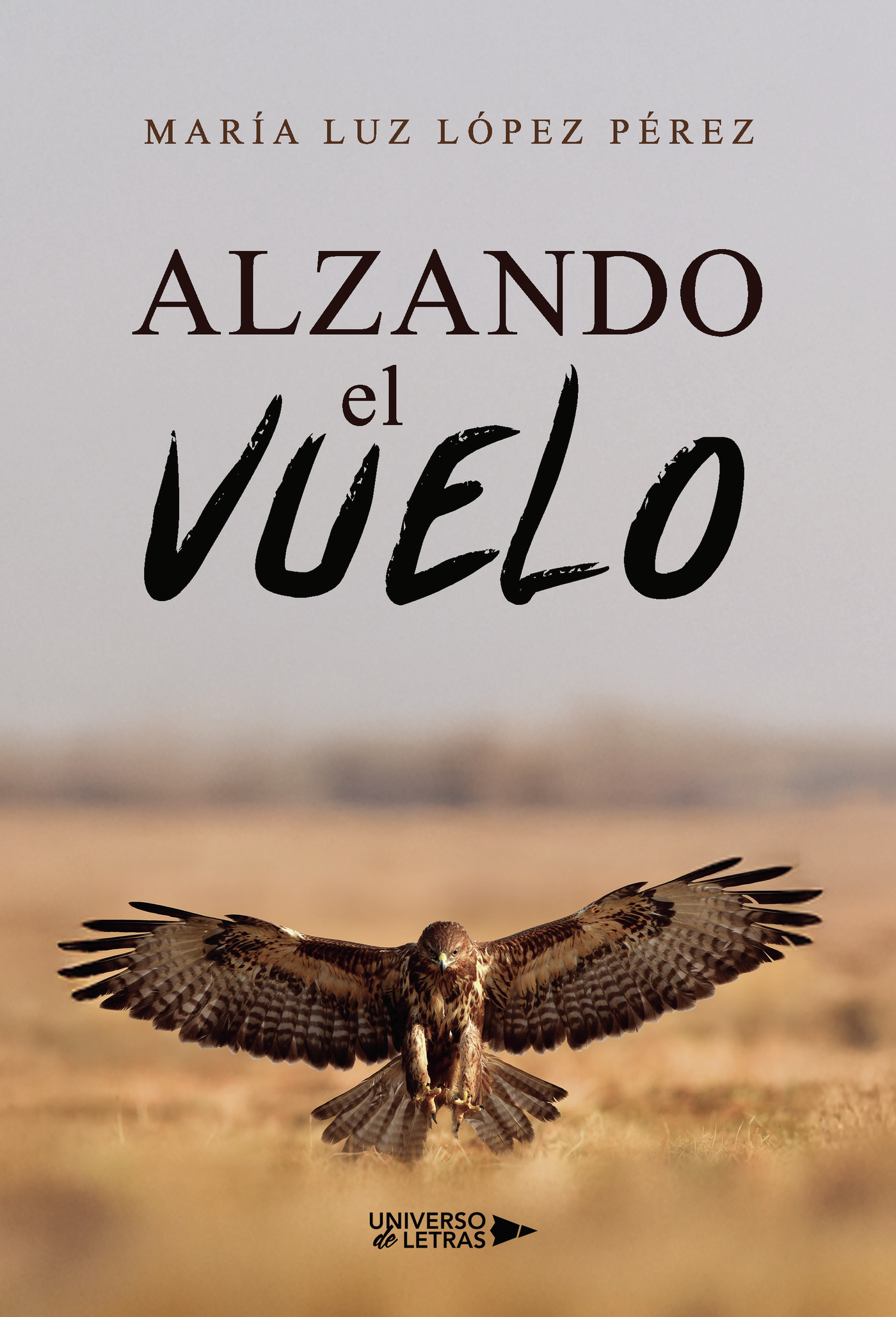 Portada de Alzando el vuelo