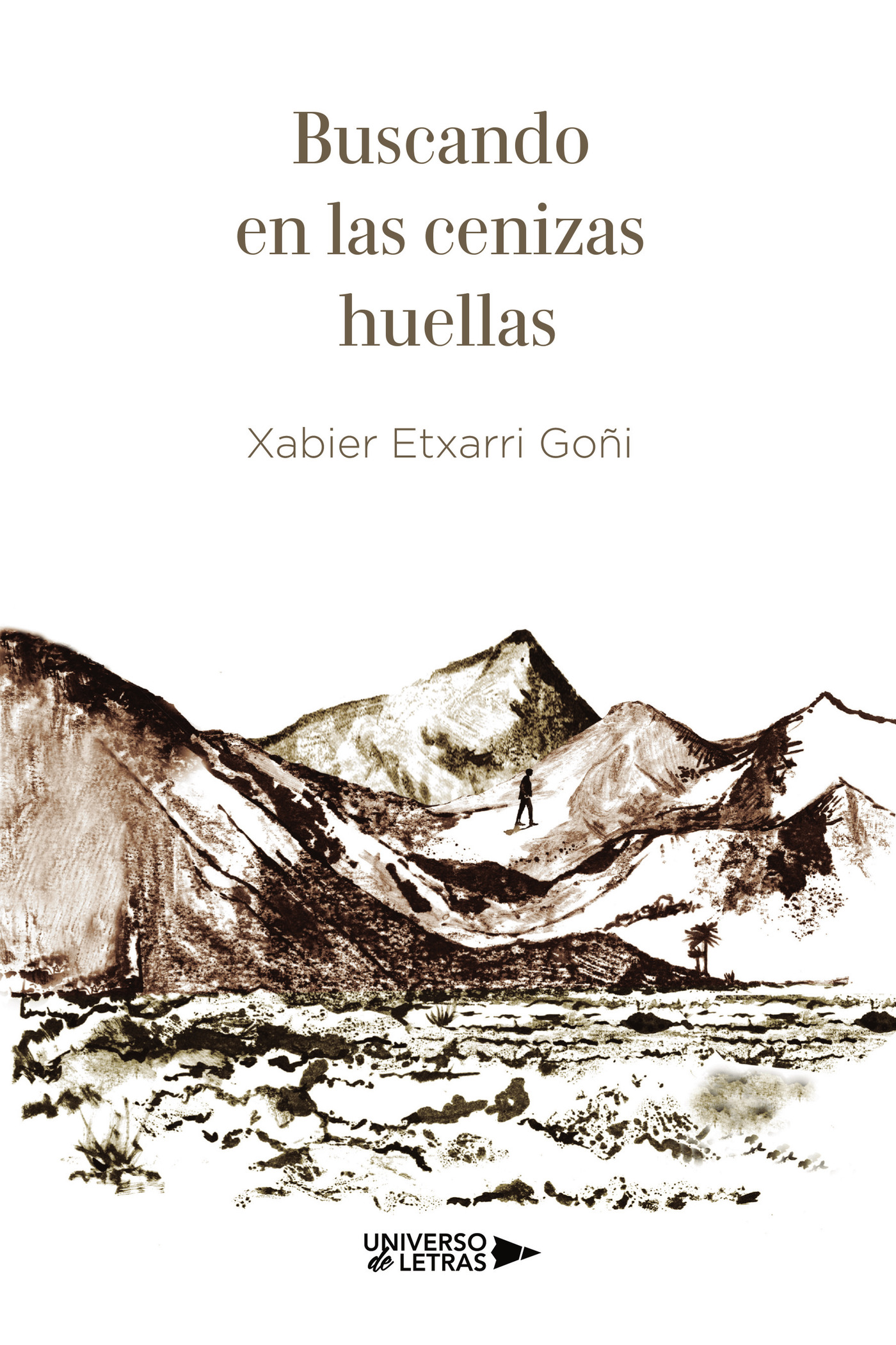 Portada de Buscando en las cenizas huellas