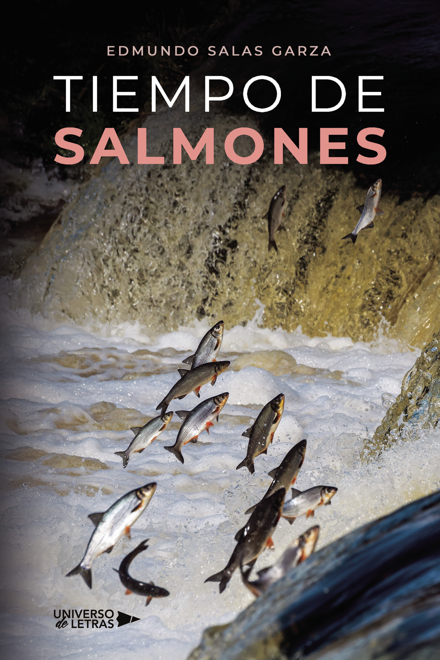 Portada de TIEMPO DE SALMONES