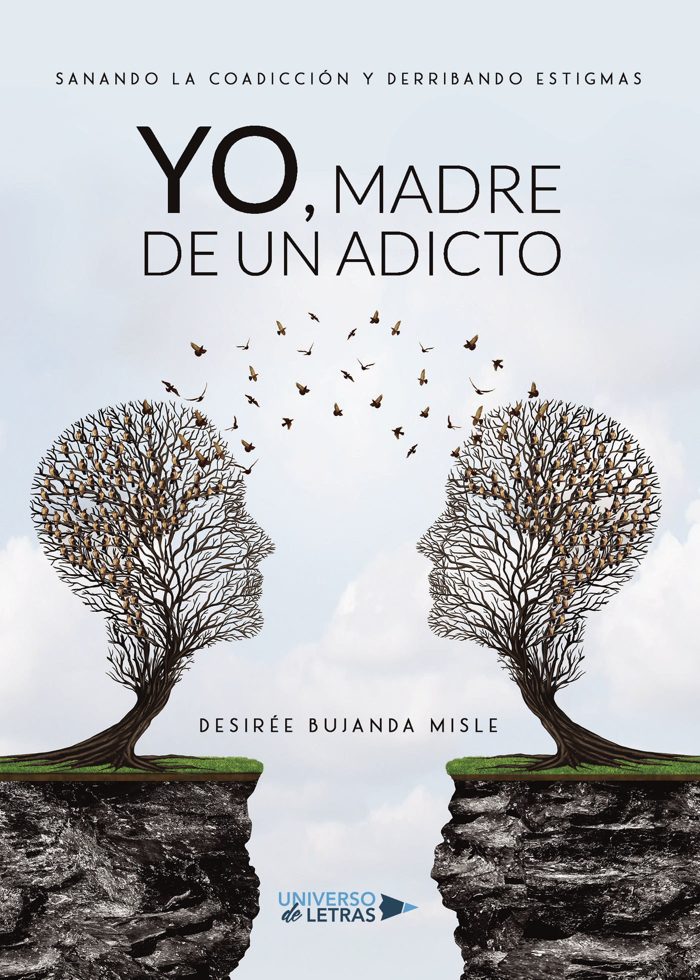 Portada de Yo, madre de un adicto
