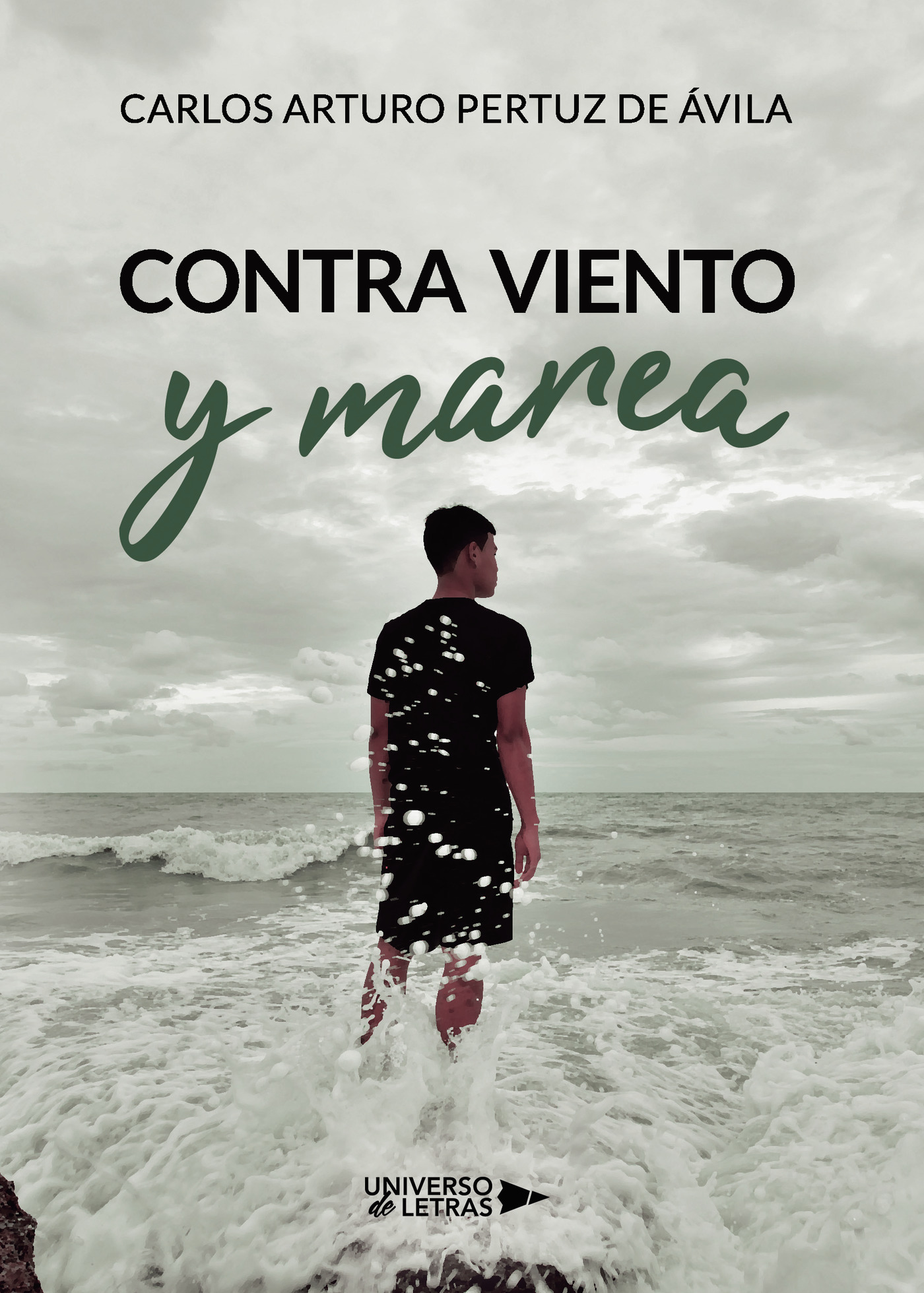 Portada de Contra viento y marea