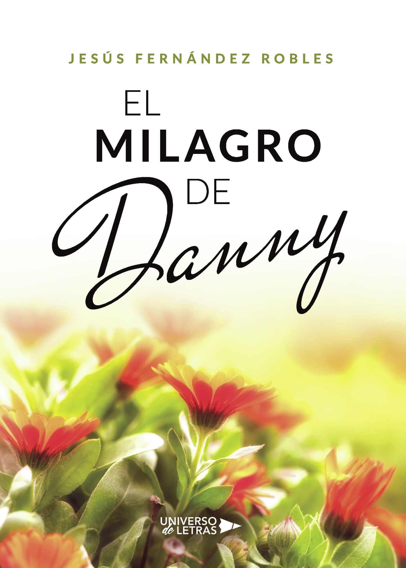 Portada de El milagro de Danny · Jesús Fernández Robles