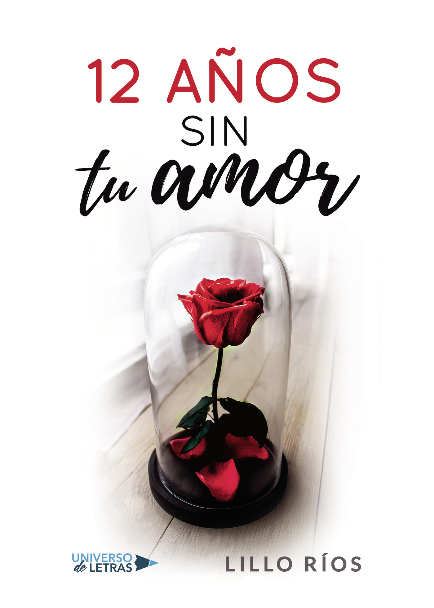 Portada de 12 años sin tu amor
