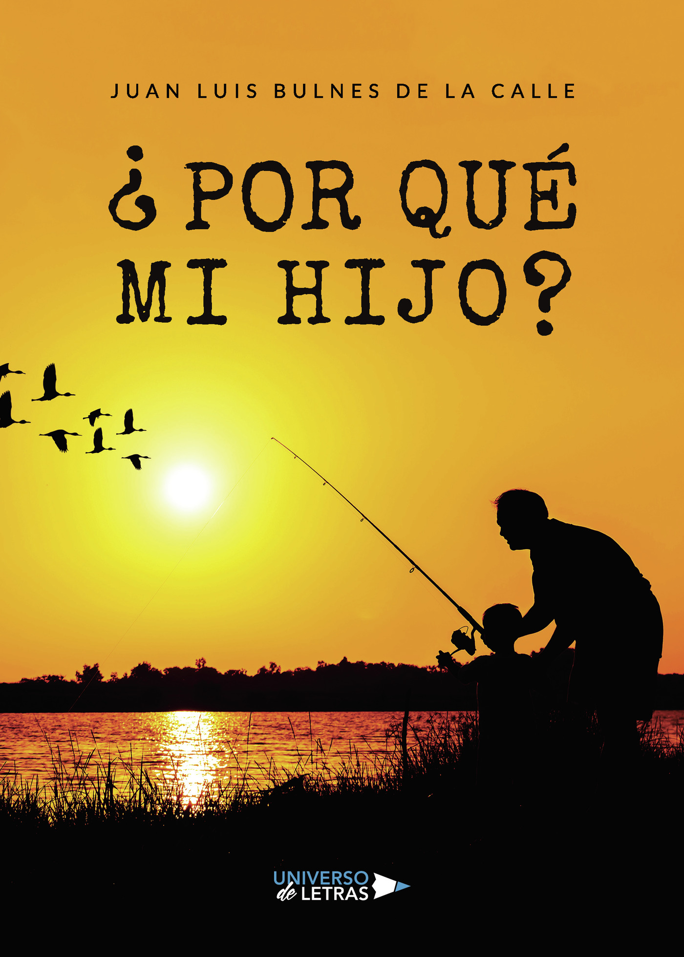 Portada de ¿Por qué mi hijo?