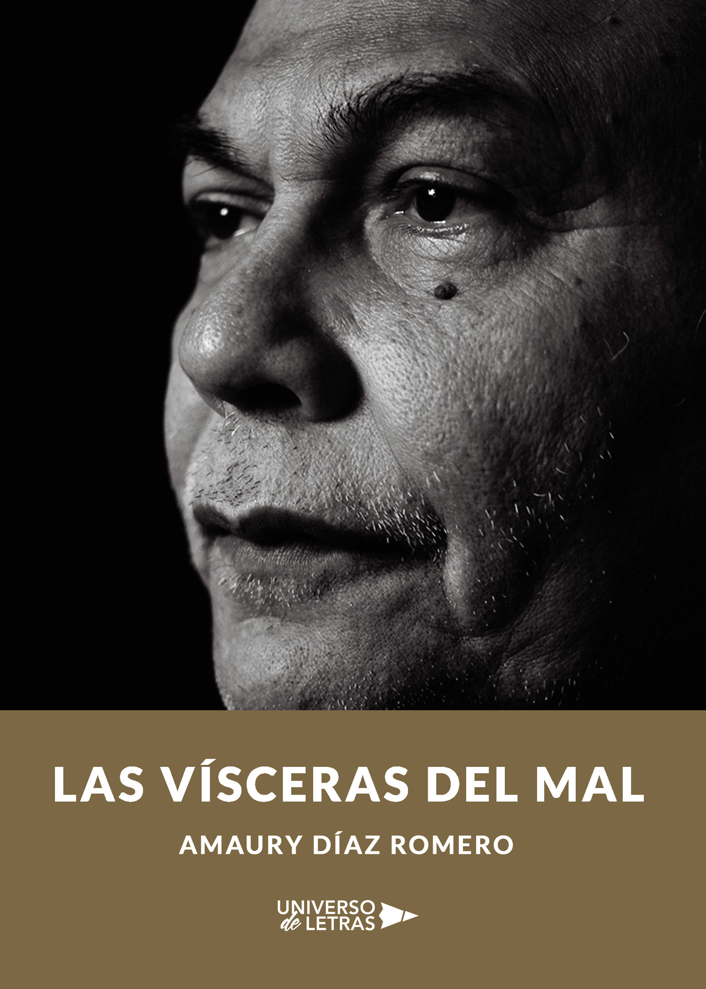 Portada de Las vísceras del mal