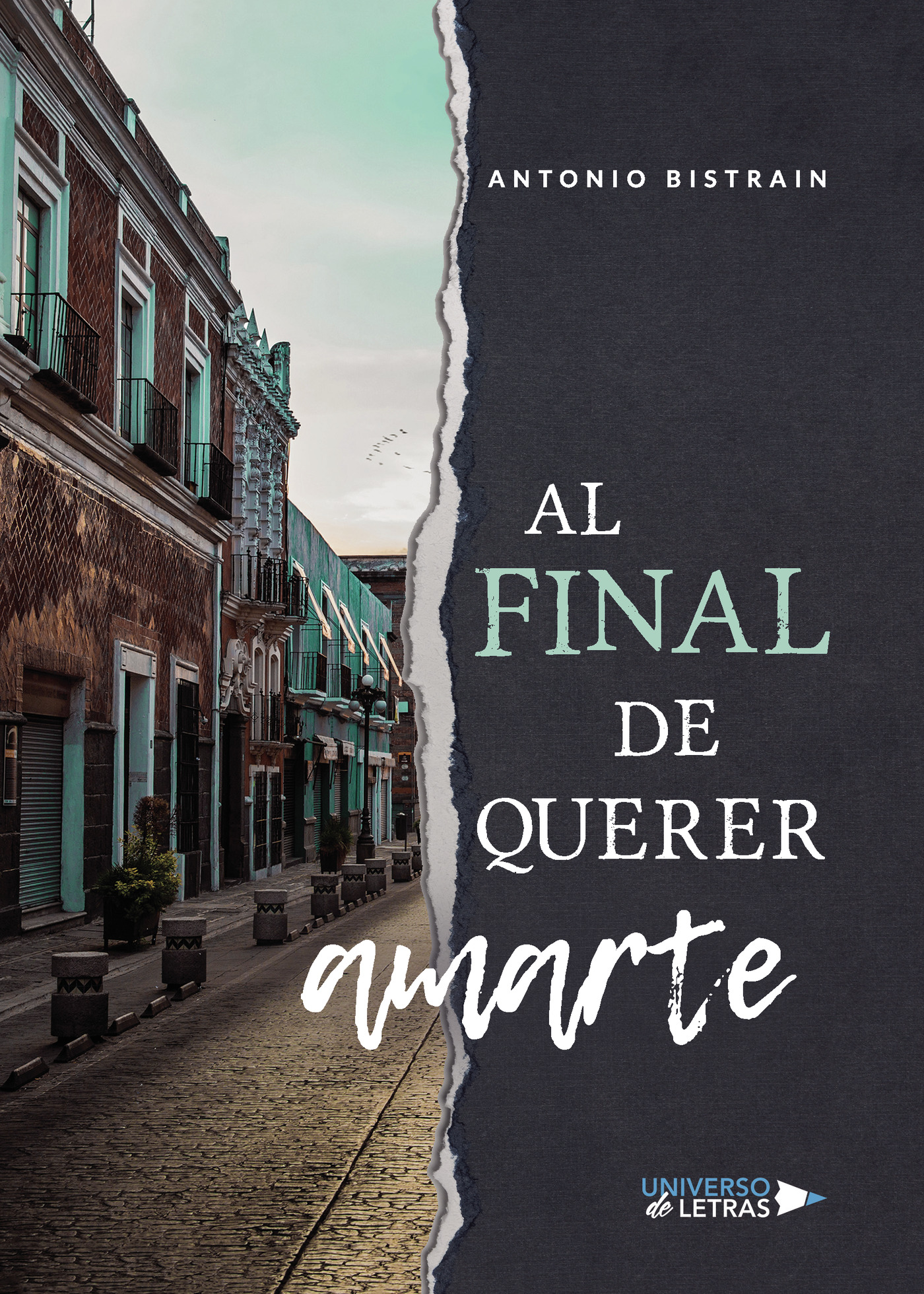 Portada de Al final de querer amarte