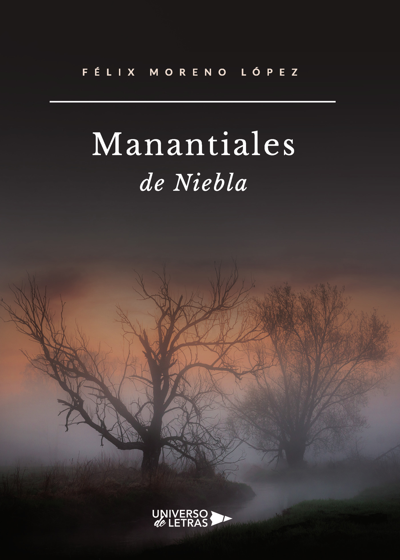 Portada de Manantiales de Niebla