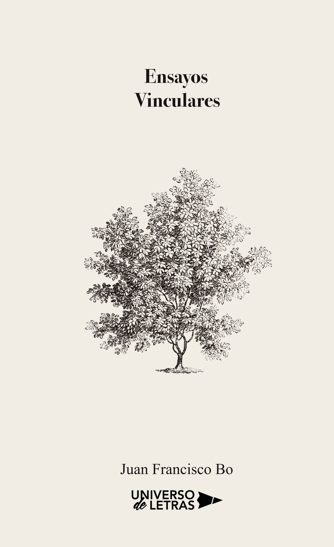 Portada de Ensayos vinculares