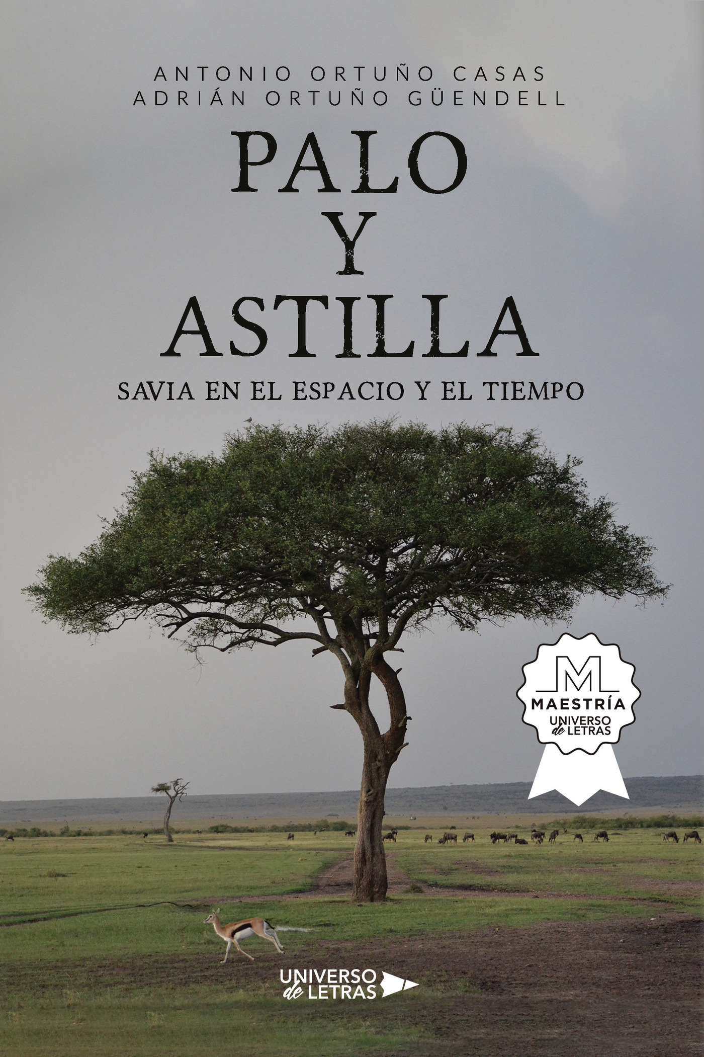 Portada de PALO y ASTILLA