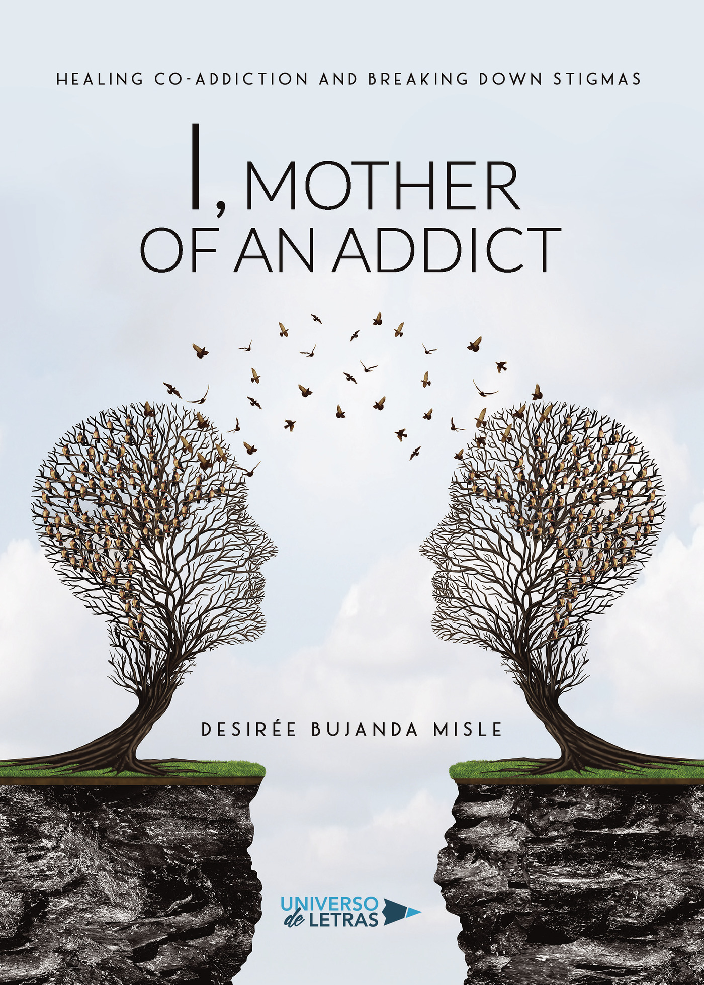 Portada de I, Mother of an Addict
