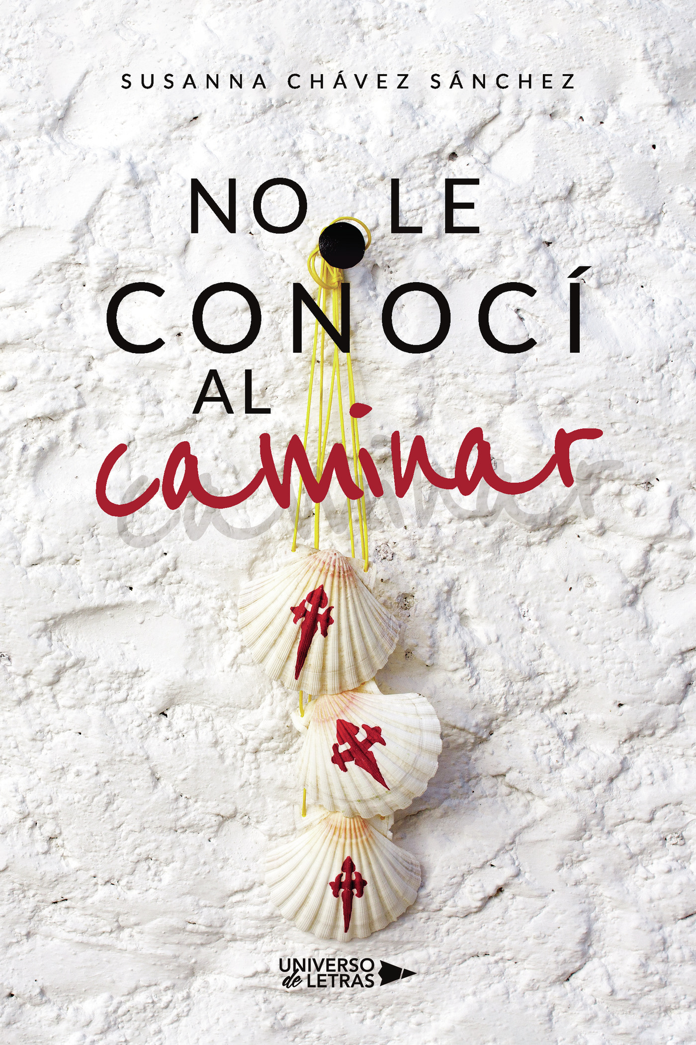 Portada de No le conocí al caminar
