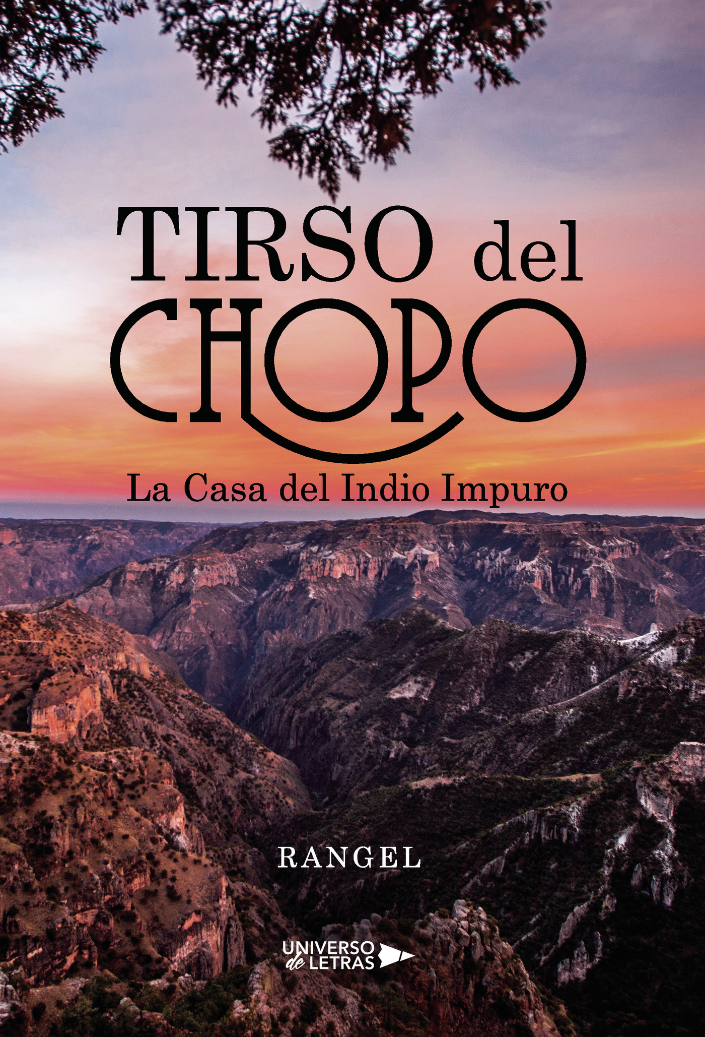Portada de Tirso del Chopo