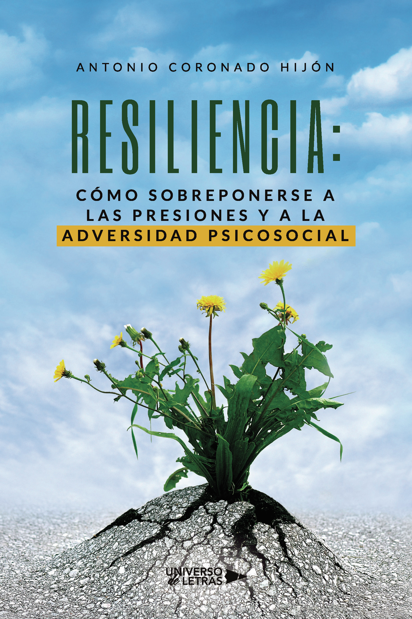 Portada de RESILIENCIA: Cómo sobreponerse a las presiones y a la adversidad psicosocial